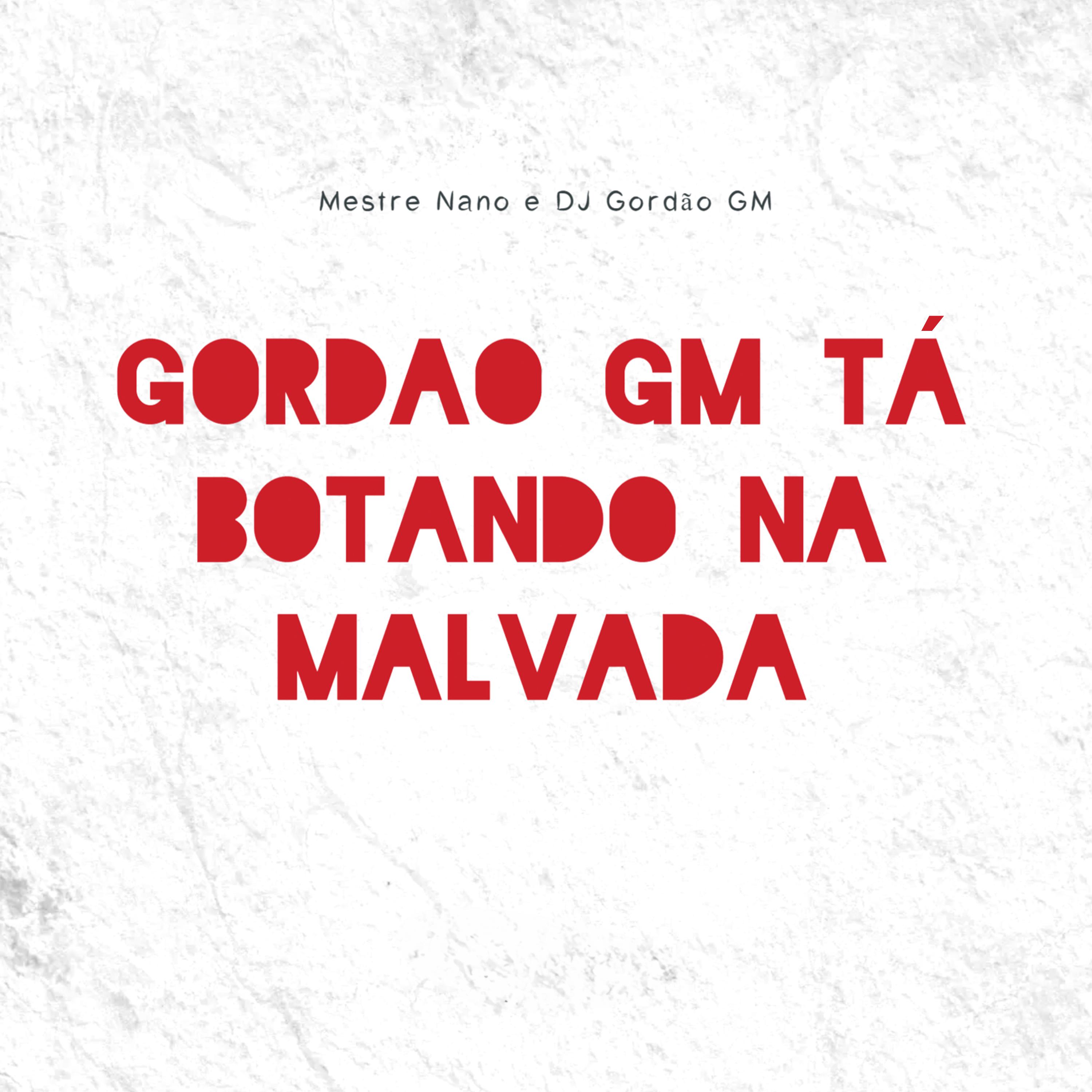Постер альбома Gordão Gm Ta Botando na Malvada