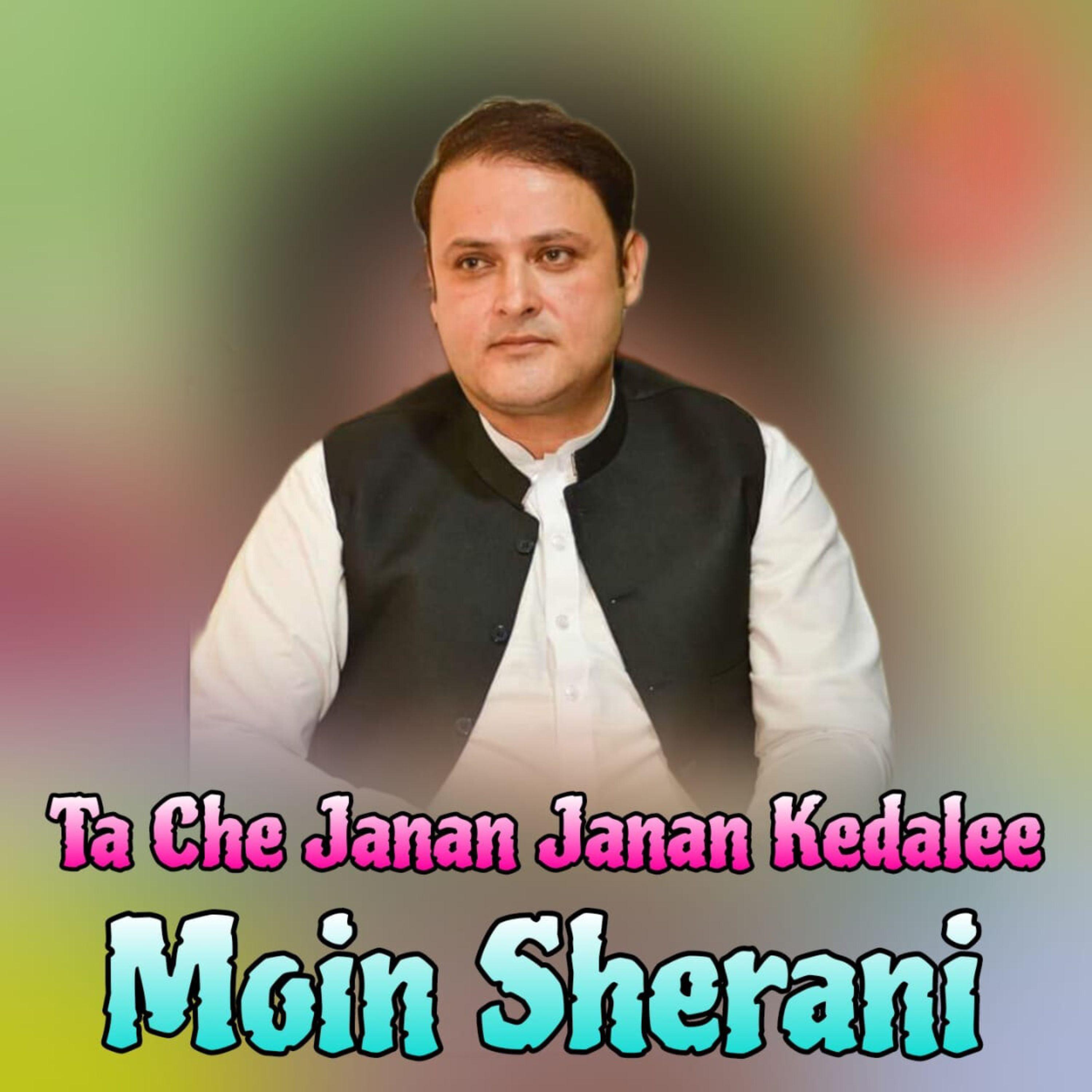 Постер альбома Ta Che Janan Janan Kedalee
