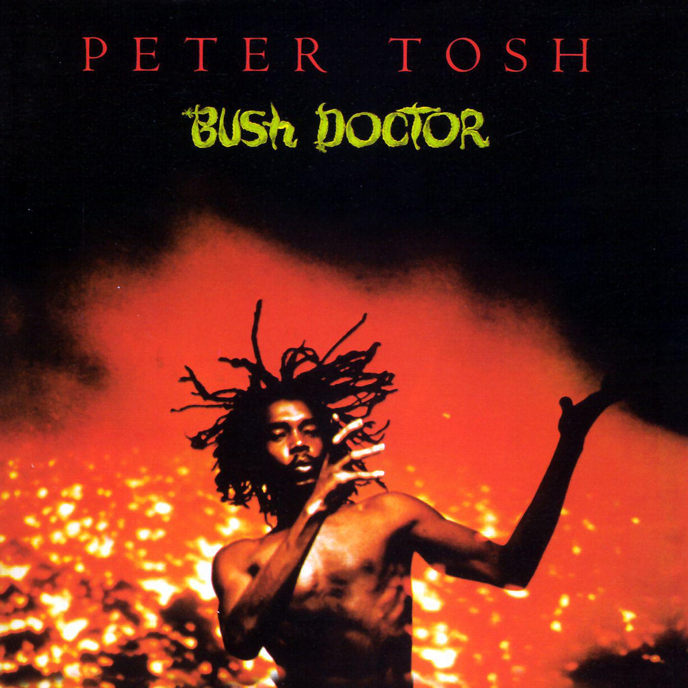 Постер альбома Bush Doctor