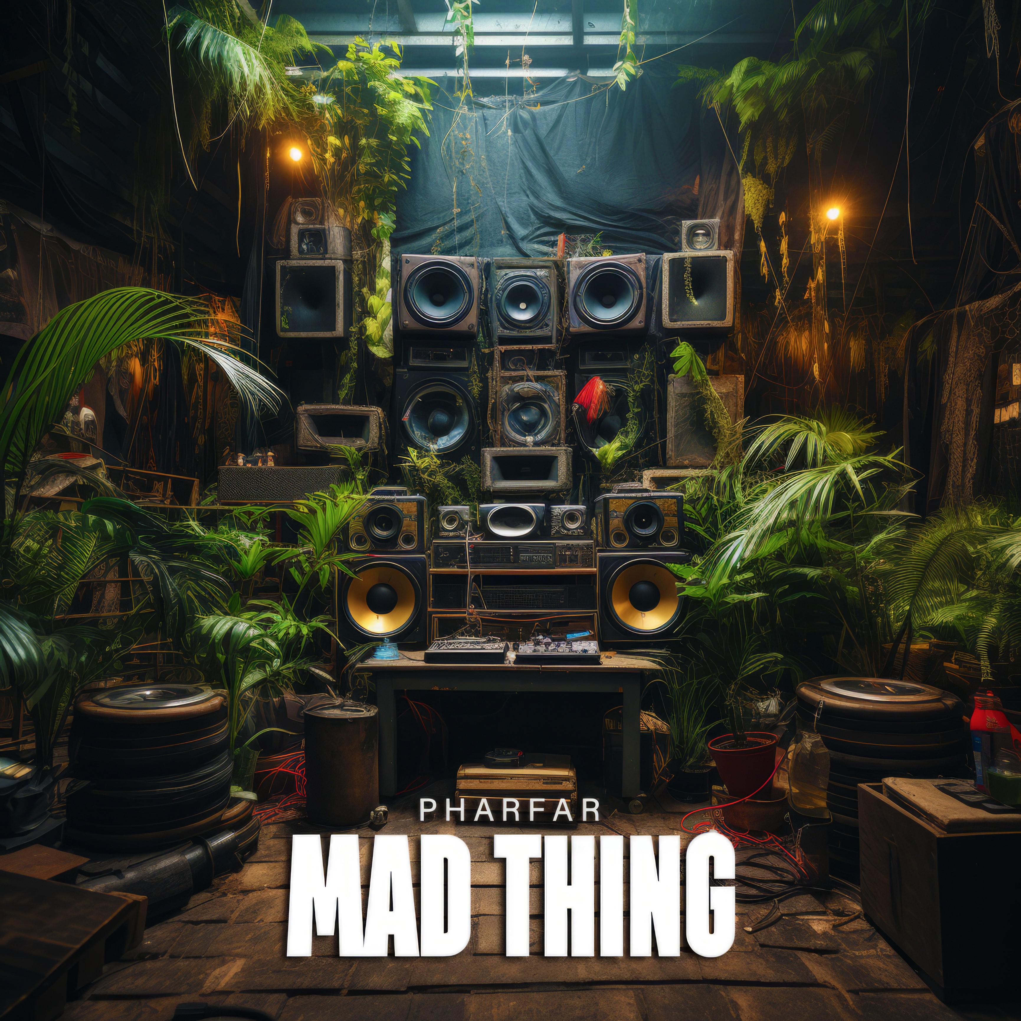 Постер альбома Mad Thing