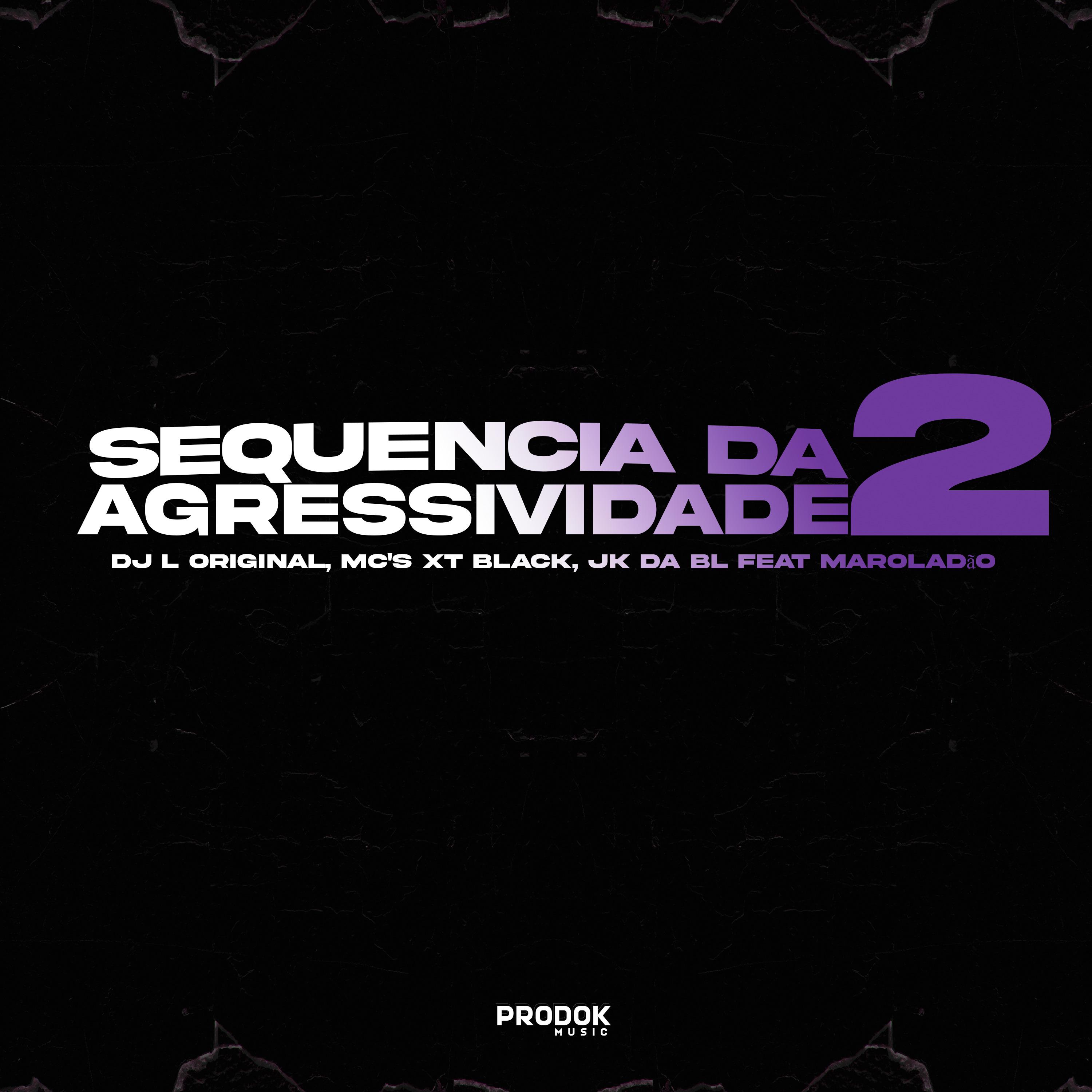 Постер альбома Sequencia da Agressividade 2