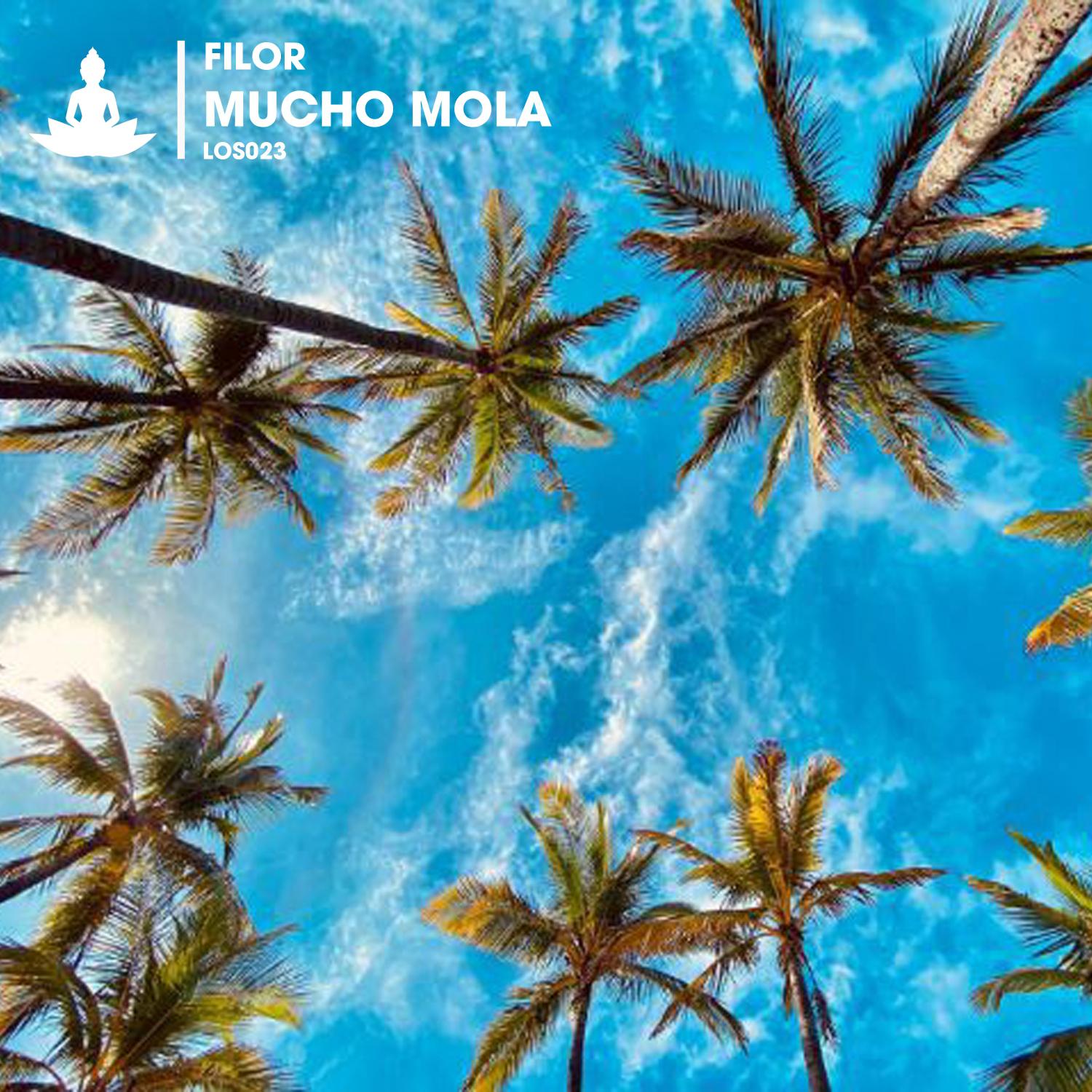 Постер альбома Mucho Mola