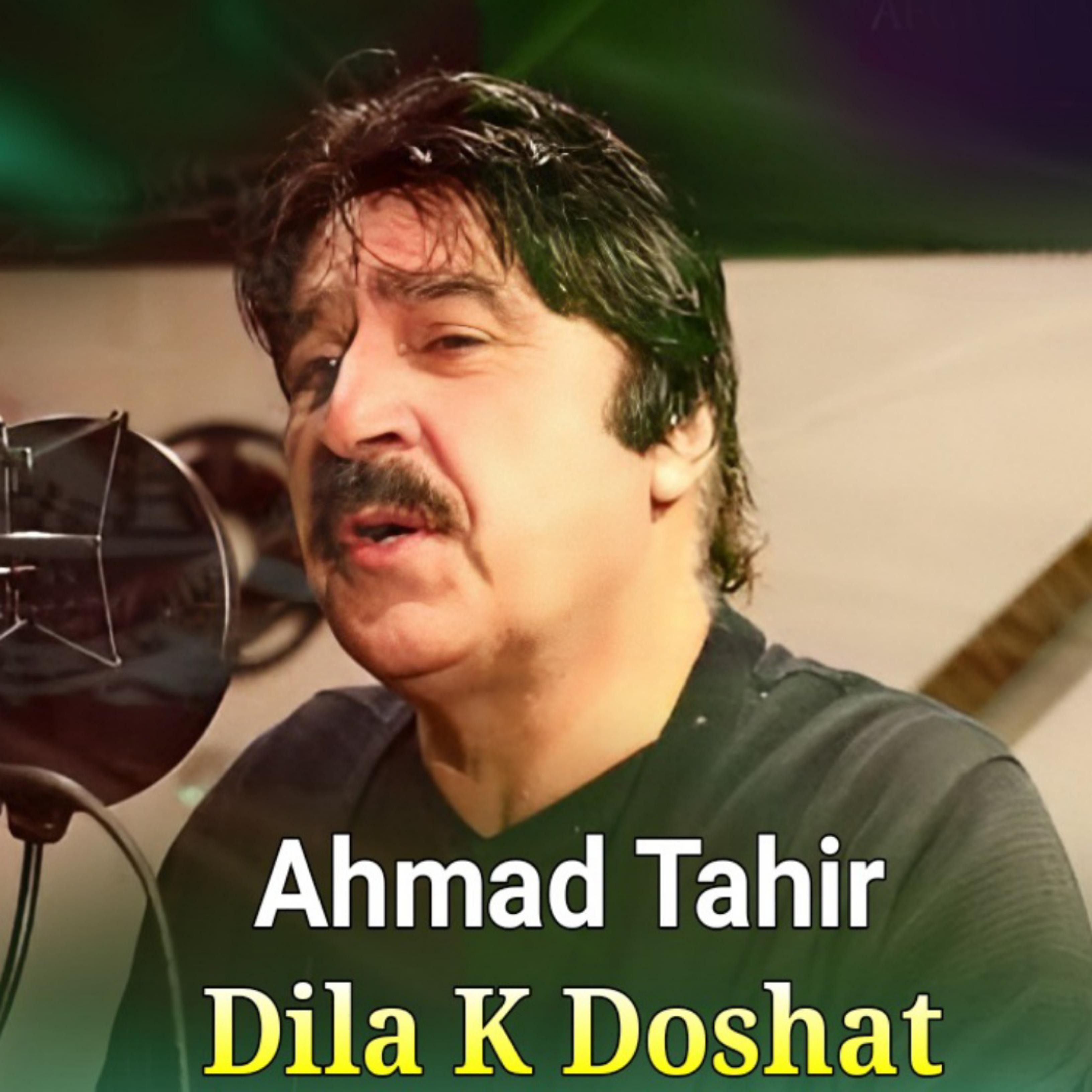 Постер альбома Dila K Doshat