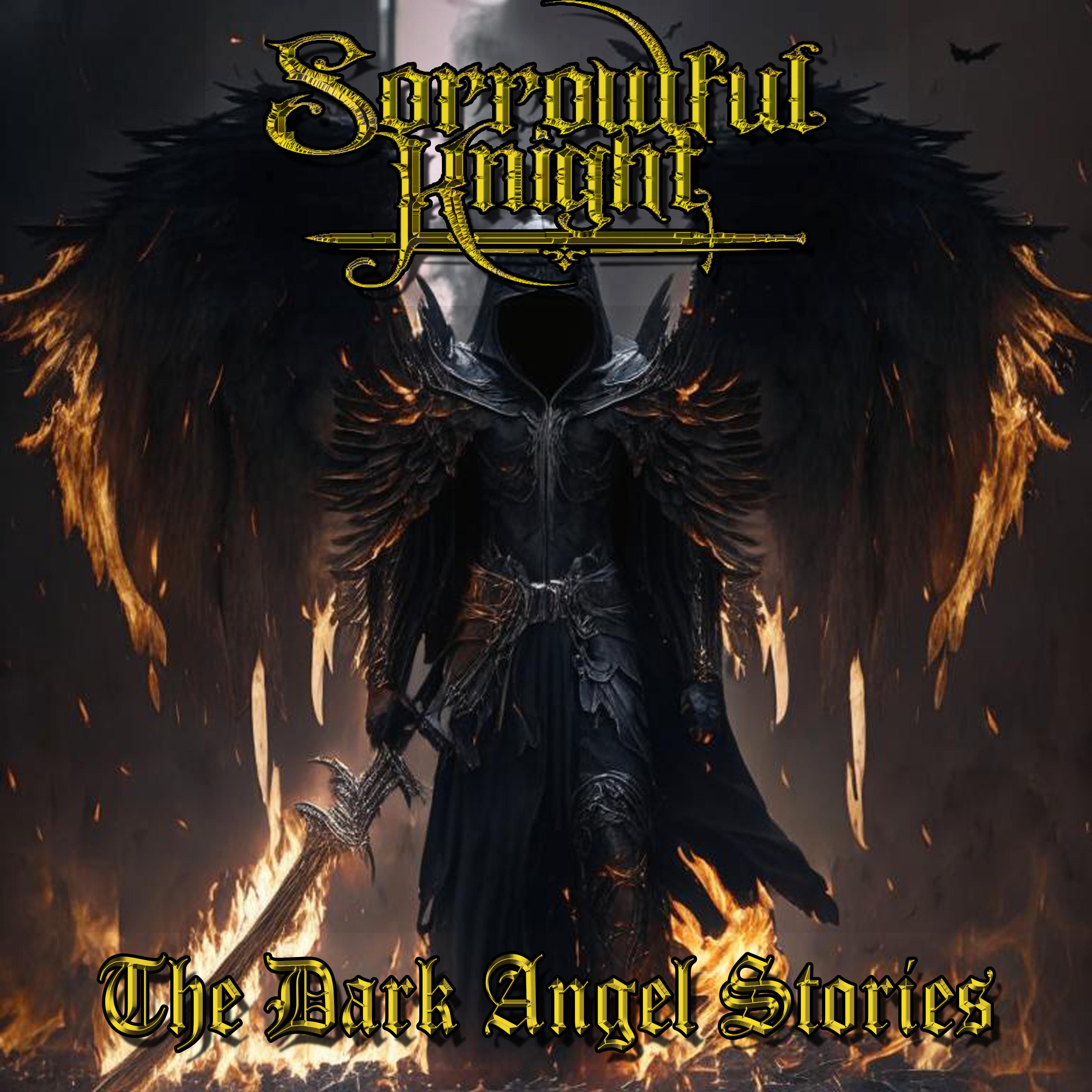 Постер альбома The Dark Angel Stories