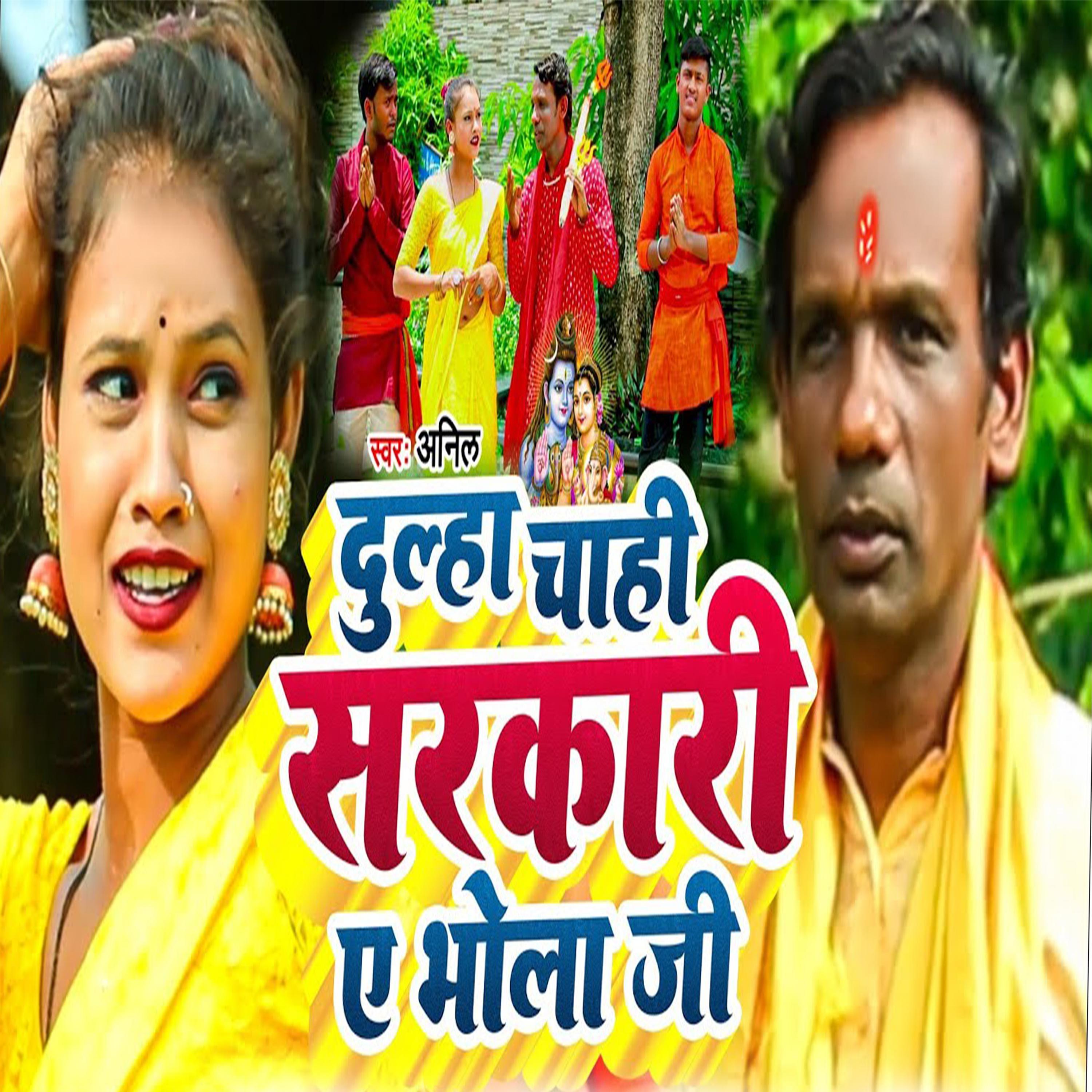 Постер альбома Dulha Chahi Sarkari A Bhola Ji