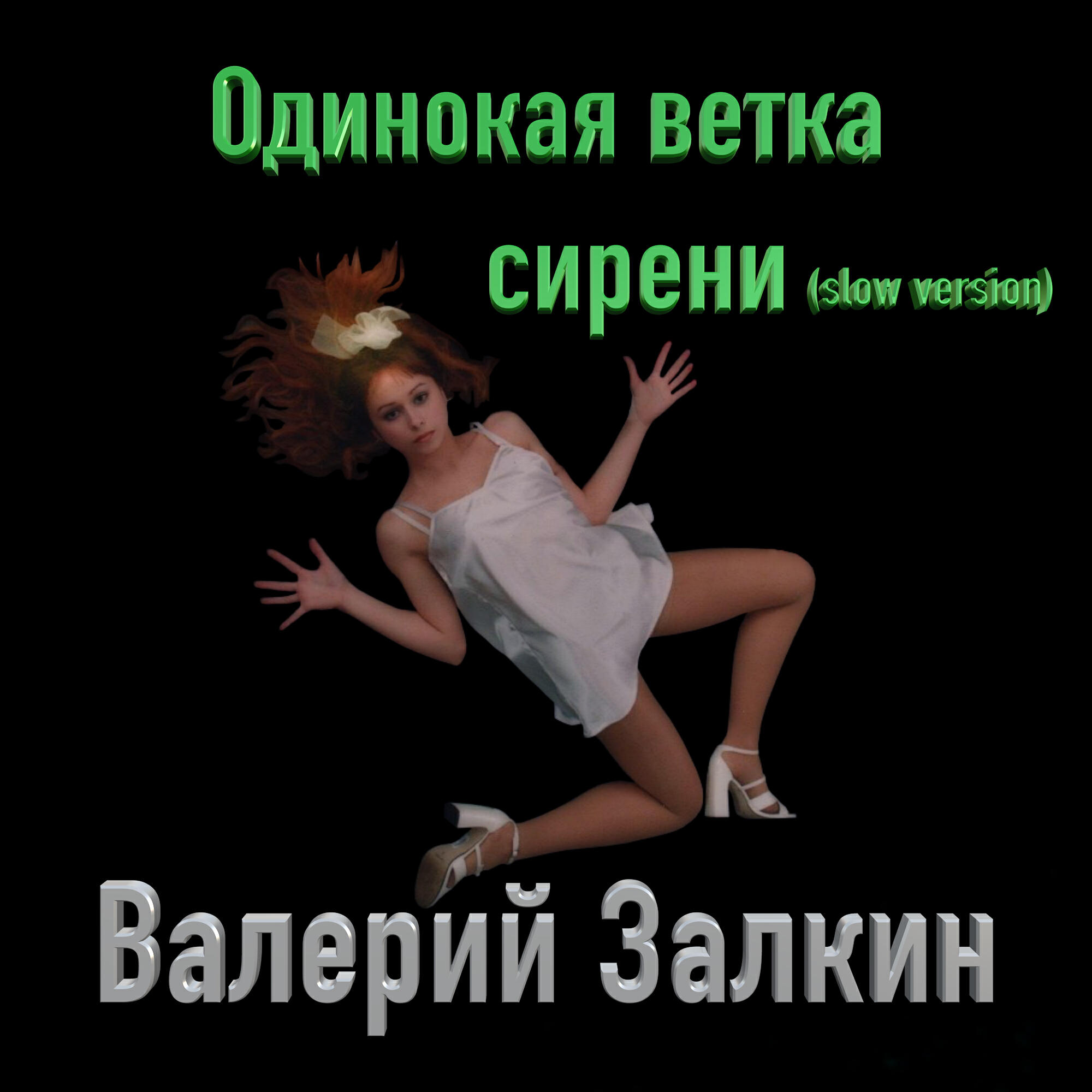 Валерий Залкин - Одинокая ветка сирени (Slow Version)