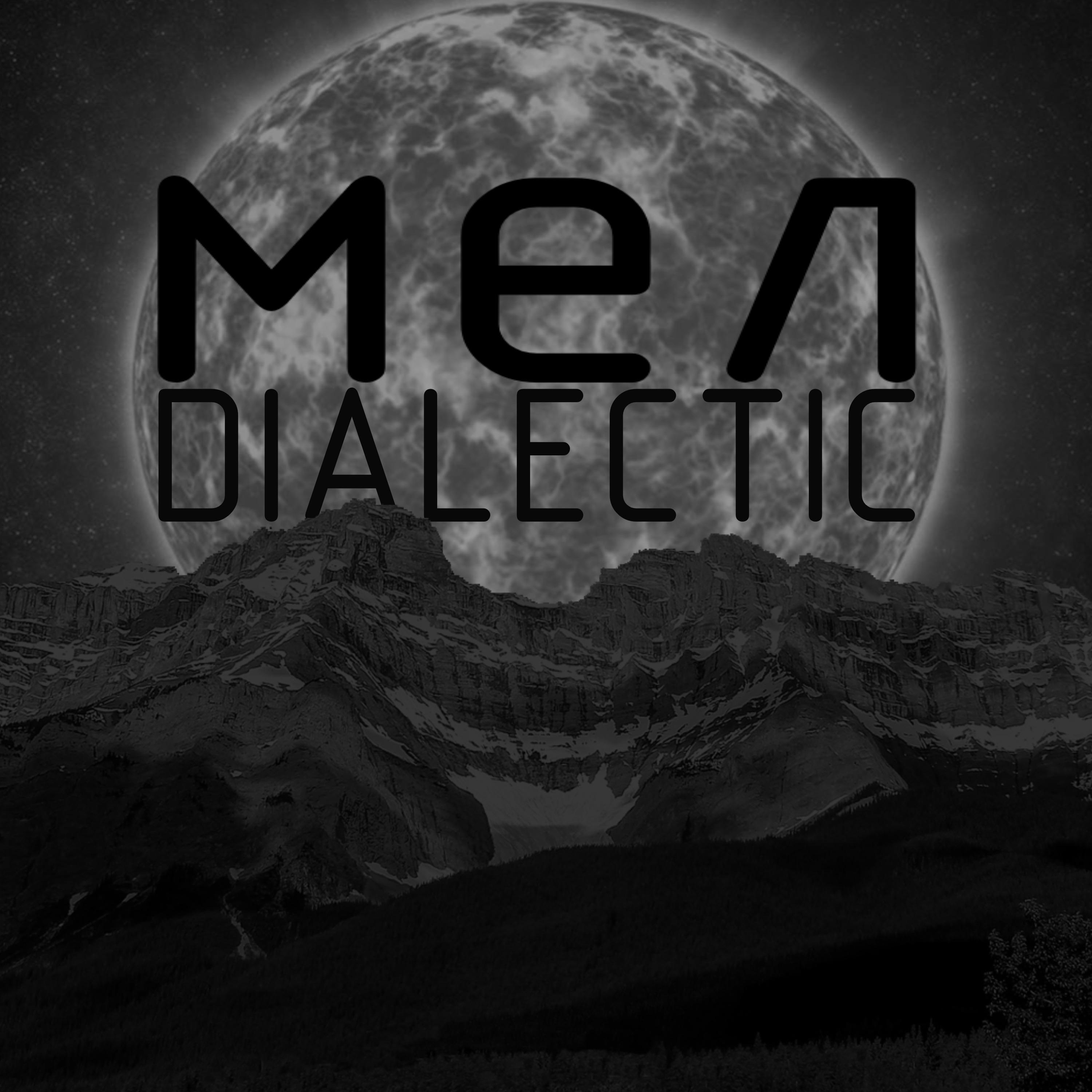Постер альбома Dialectic