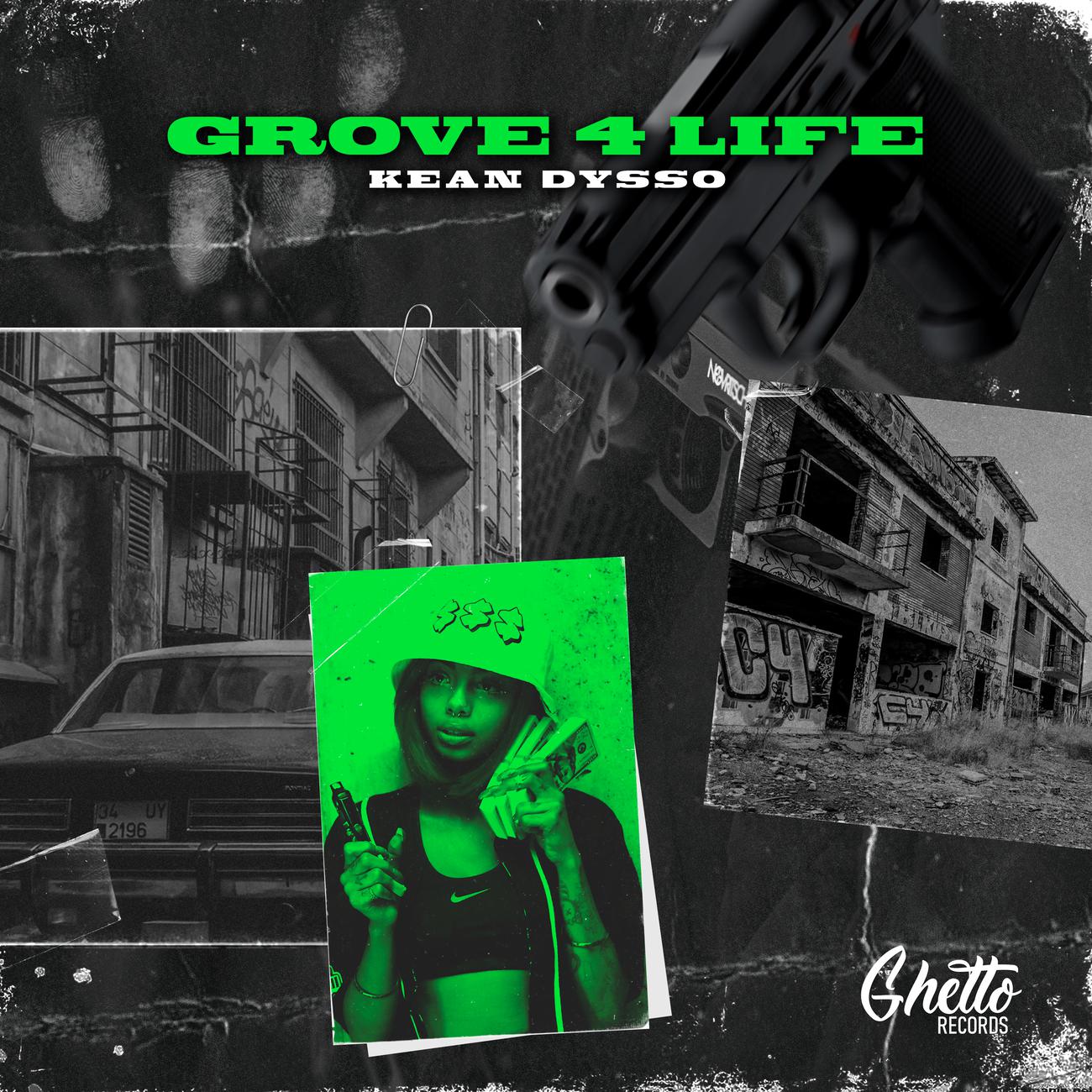Постер альбома Grove 4 Life