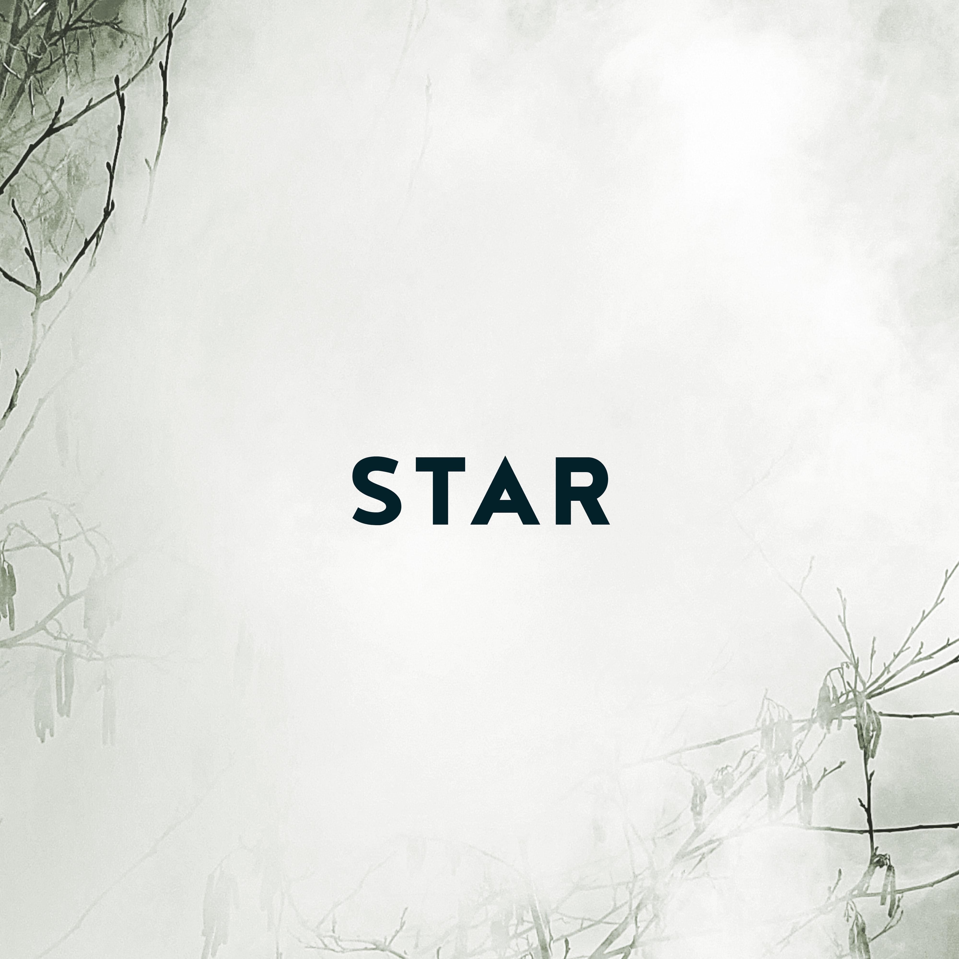 Постер альбома Star