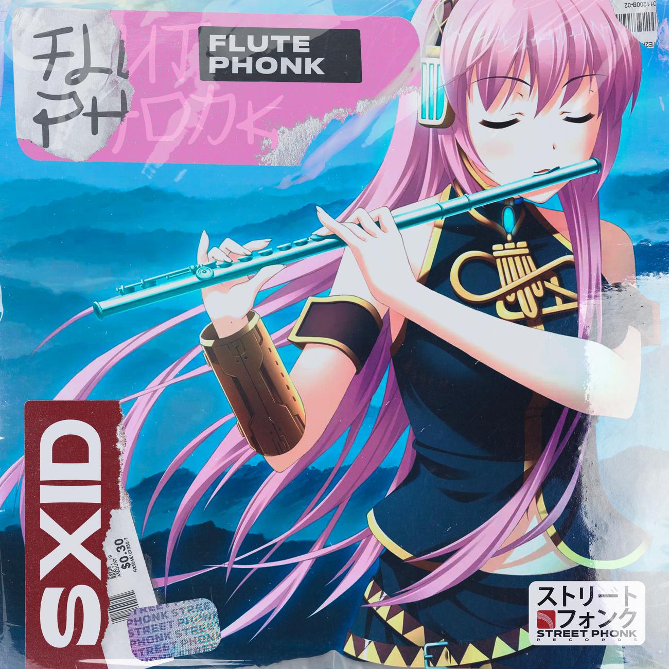 Постер альбома Flute Phonk