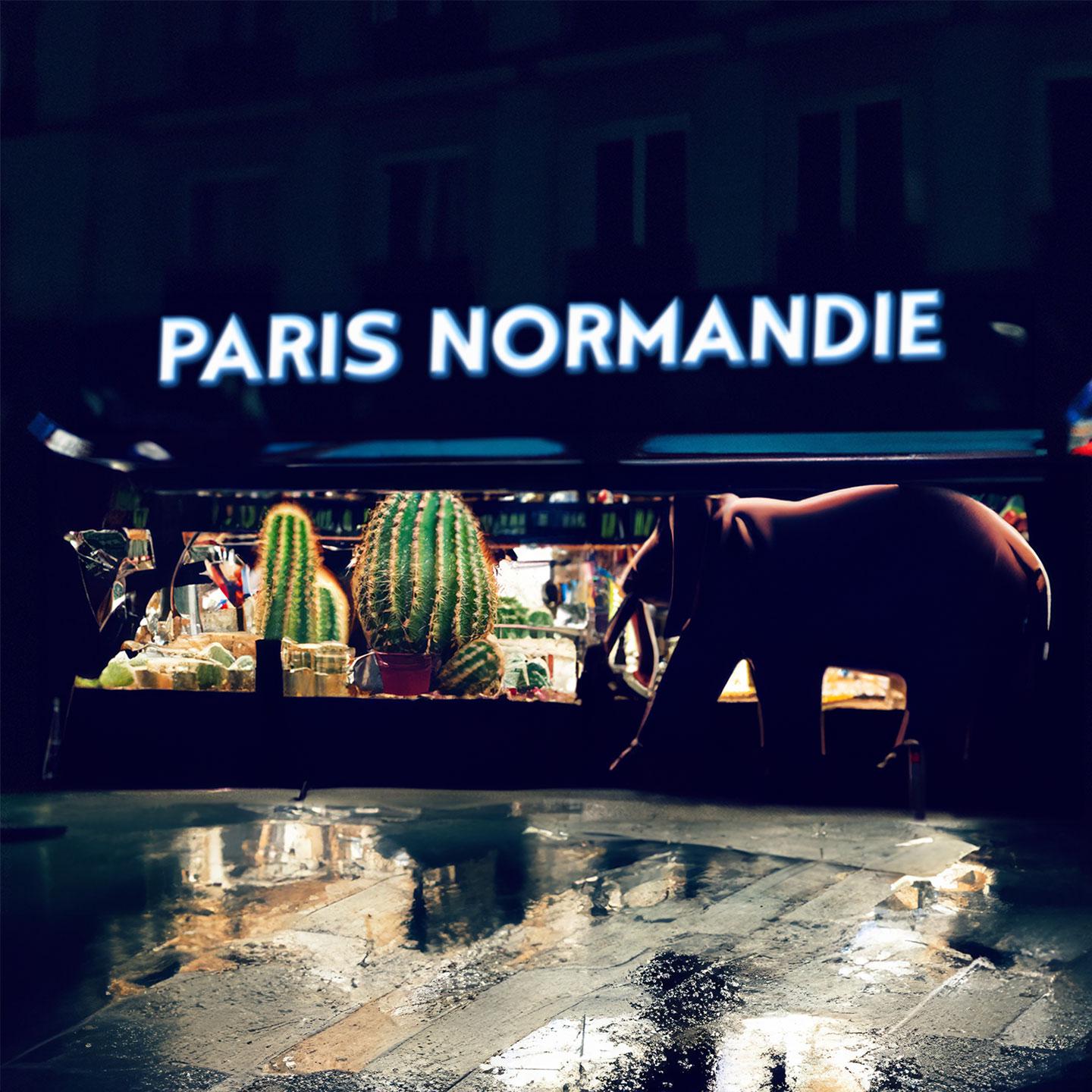 Постер альбома Paris Normandie