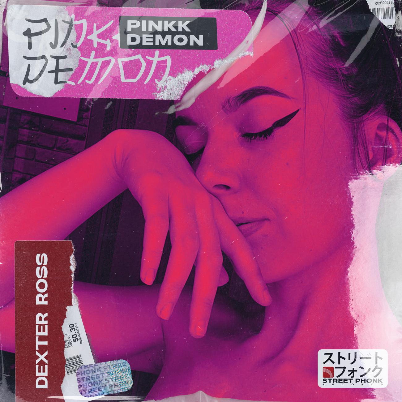 Постер альбома PinkkDemon