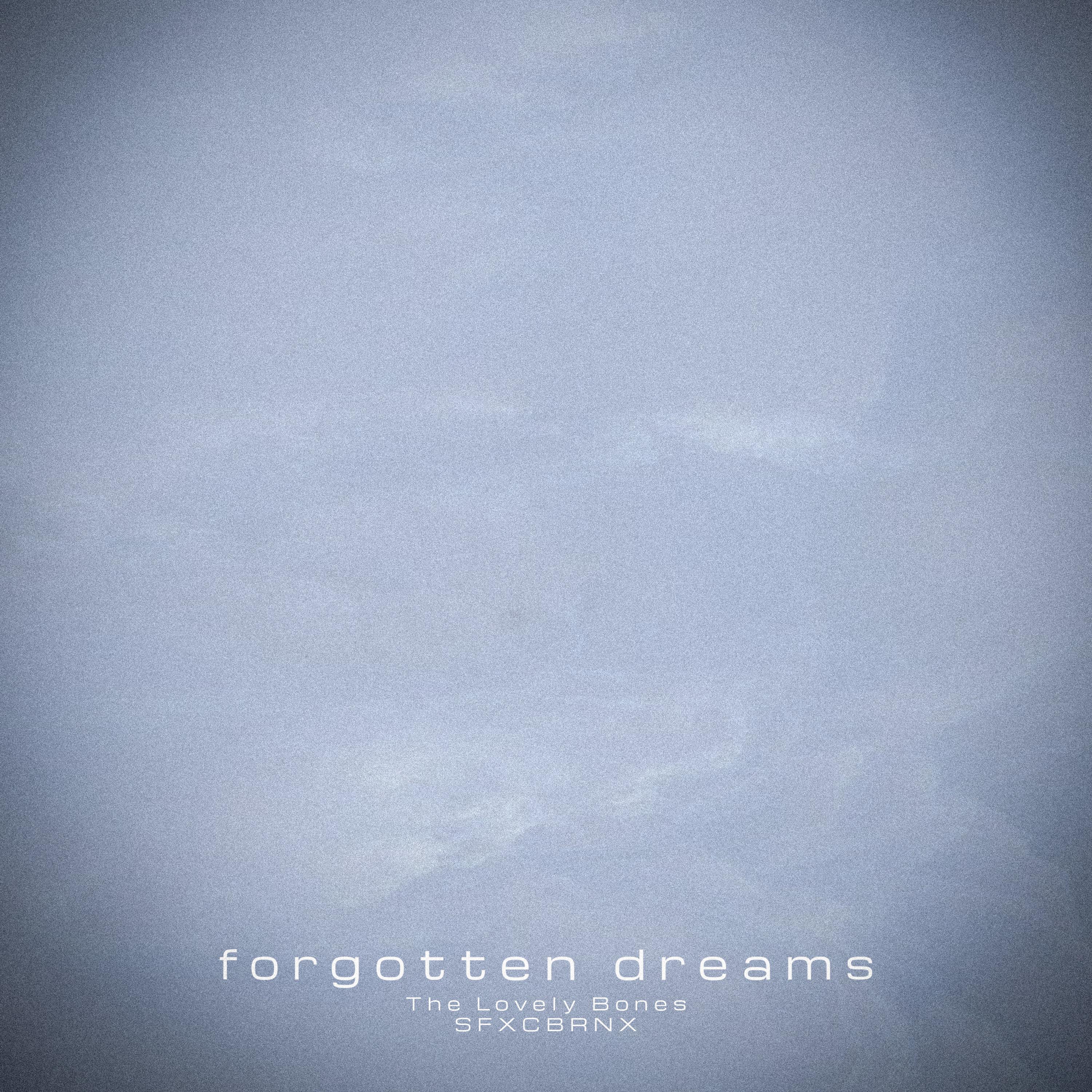 Постер альбома forgotten dreams