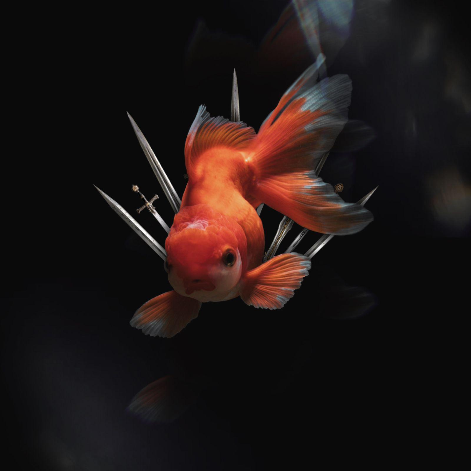 Постер альбома Золотая рыбка
