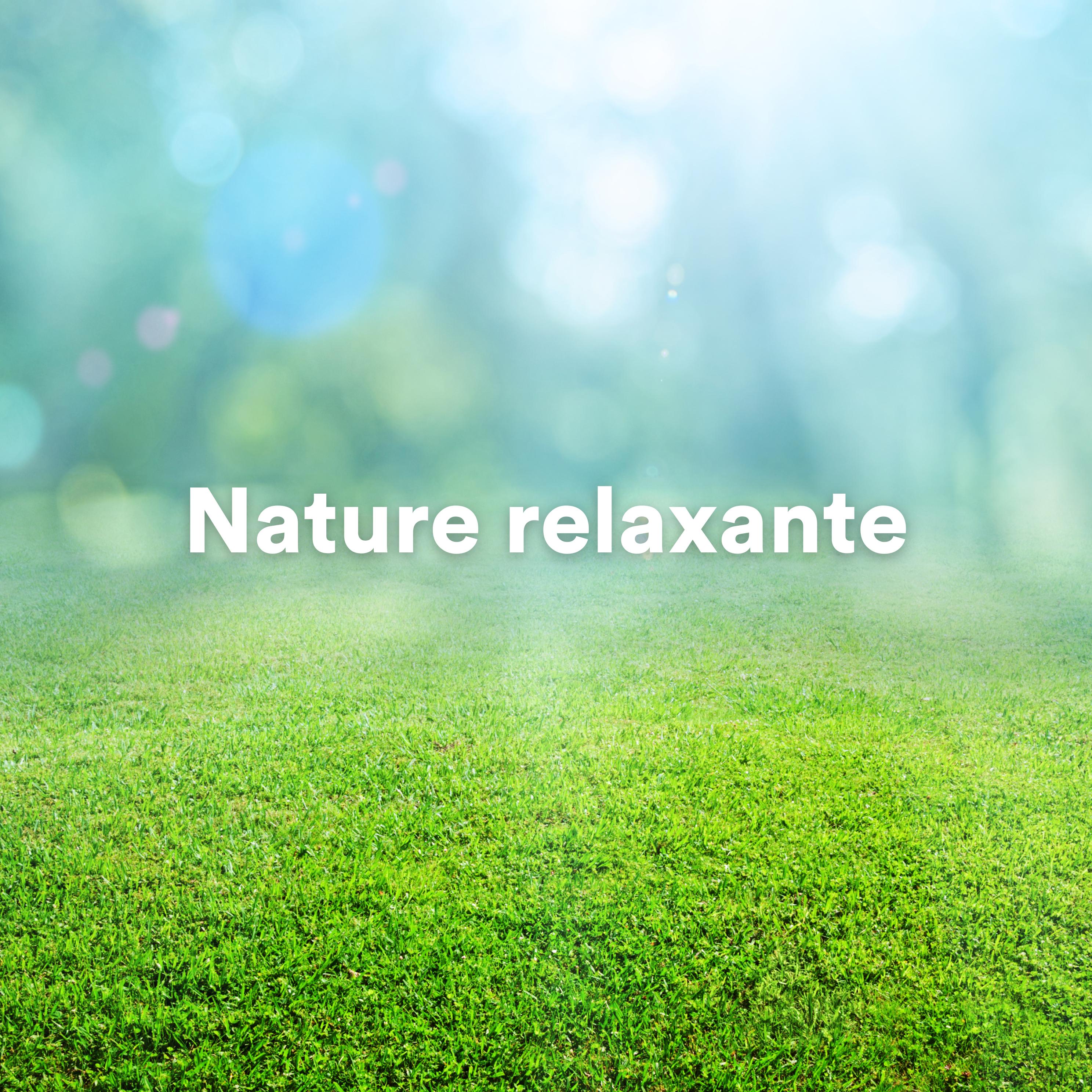Постер альбома Nature relaxante
