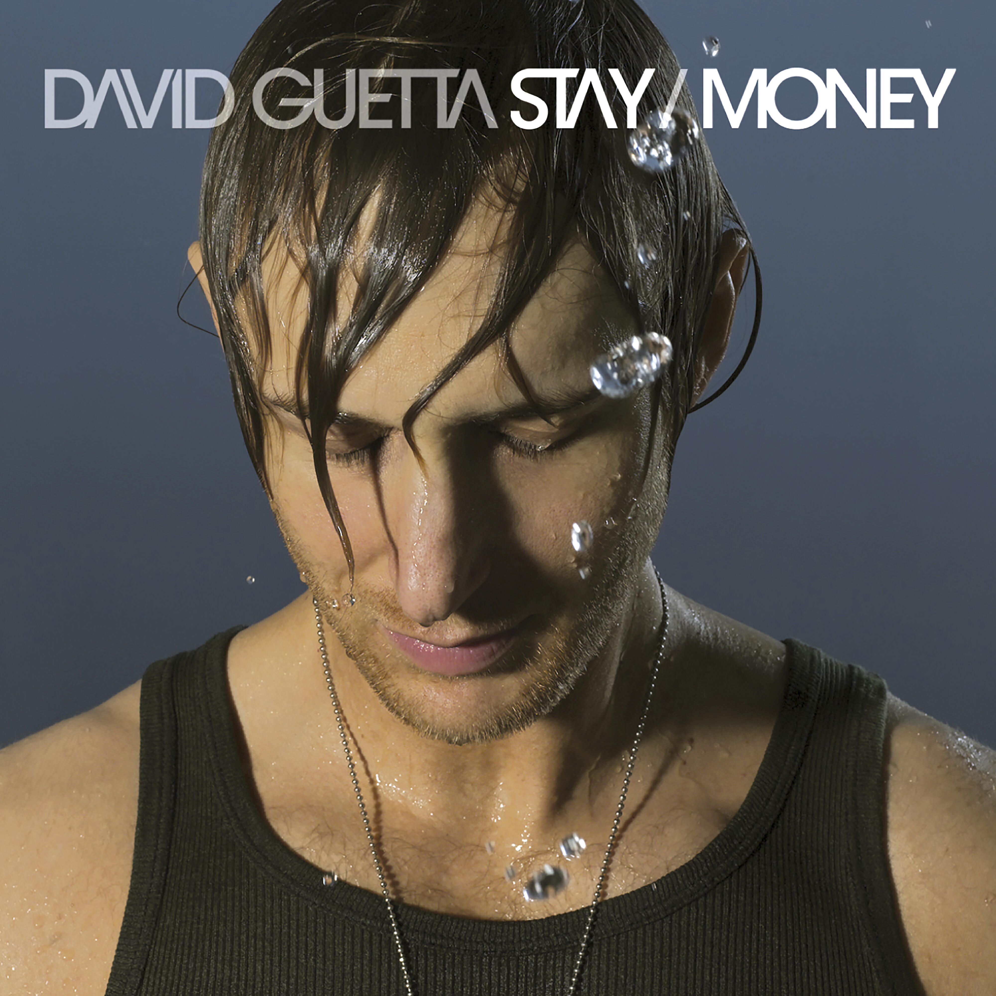David Guetta - Stay (feat. Chris Willis) [Radio Edit]