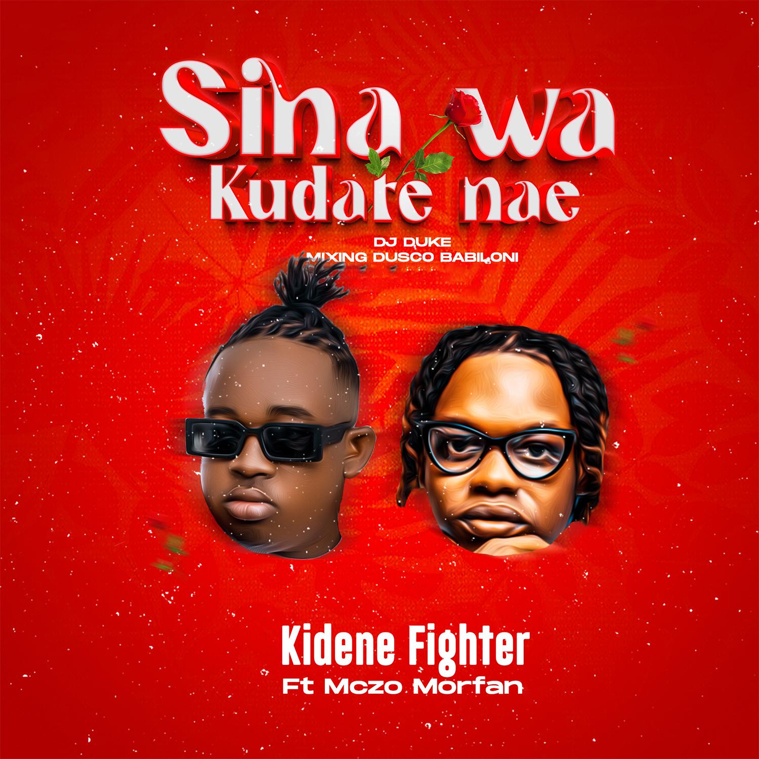 Постер альбома Sina Wa Kudate Nae