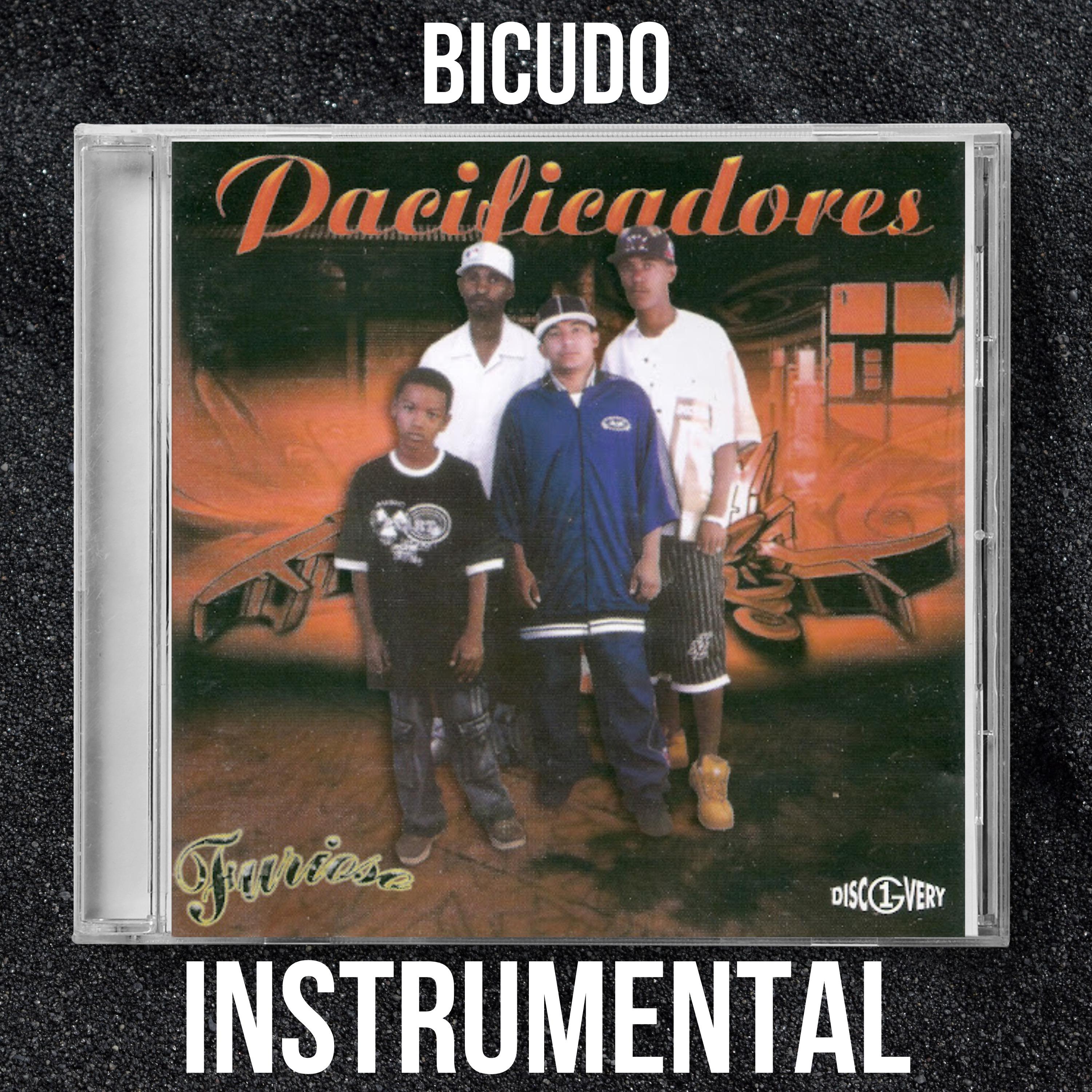 Постер альбома Bicudo (Instrumental)