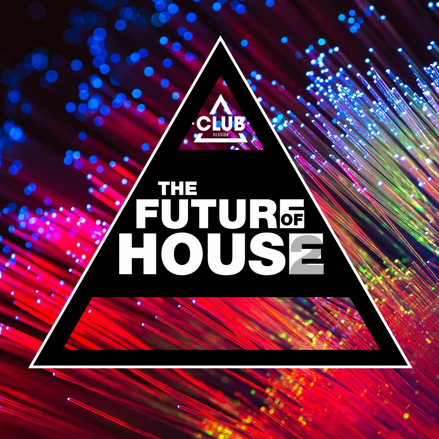 Постер альбома The Future Of House, Vol. 2