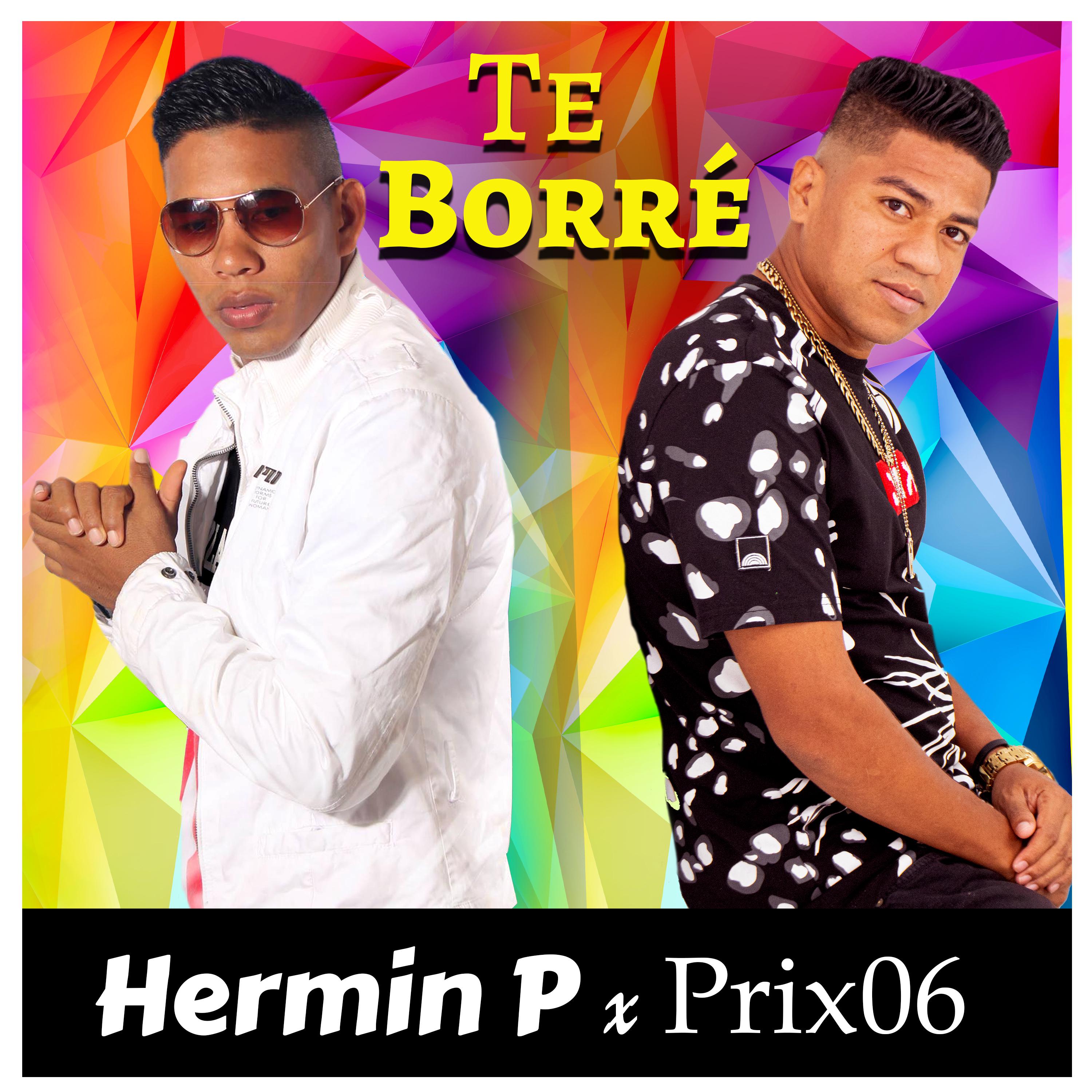 Постер альбома Te Borré