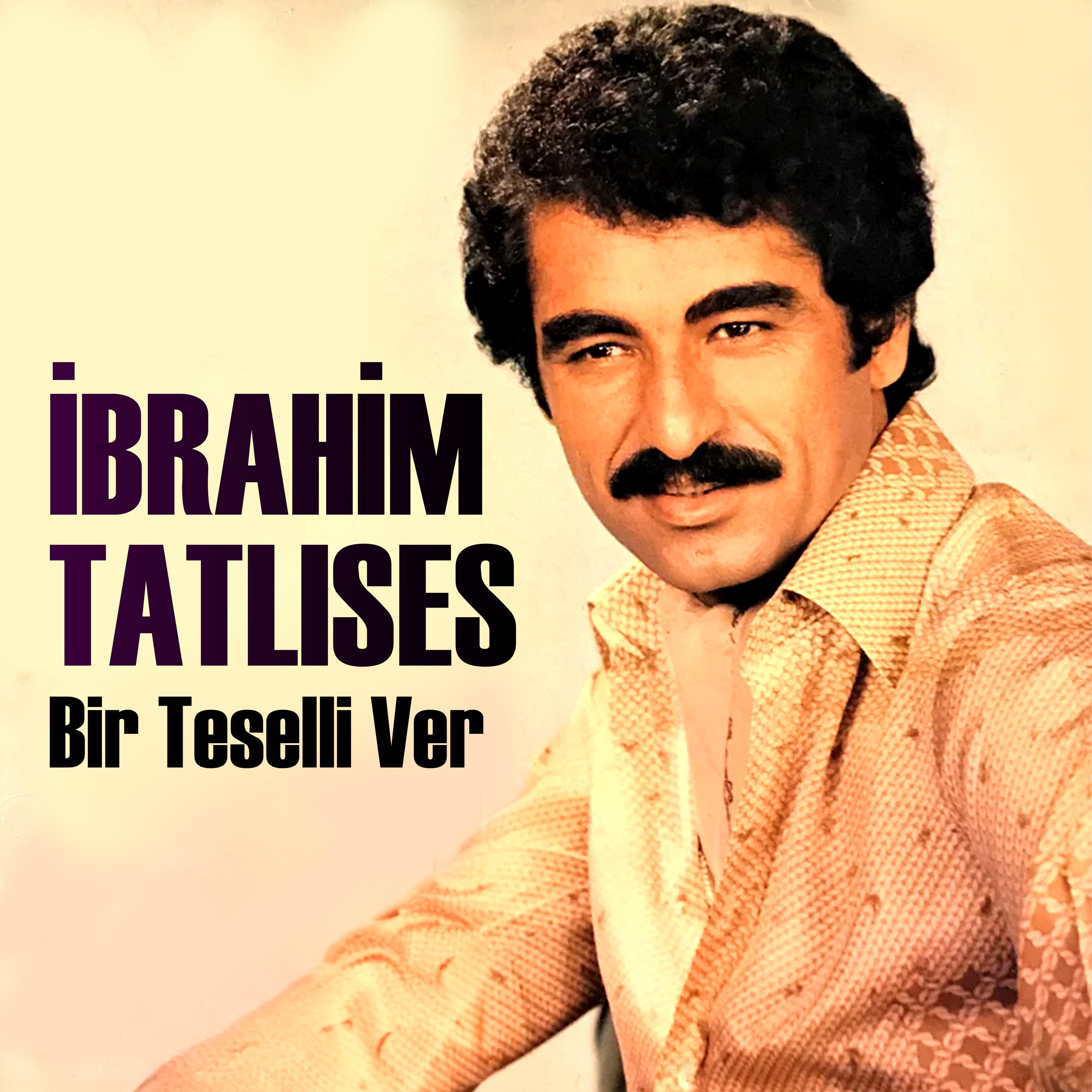 Постер альбома Bir Teselli Ver