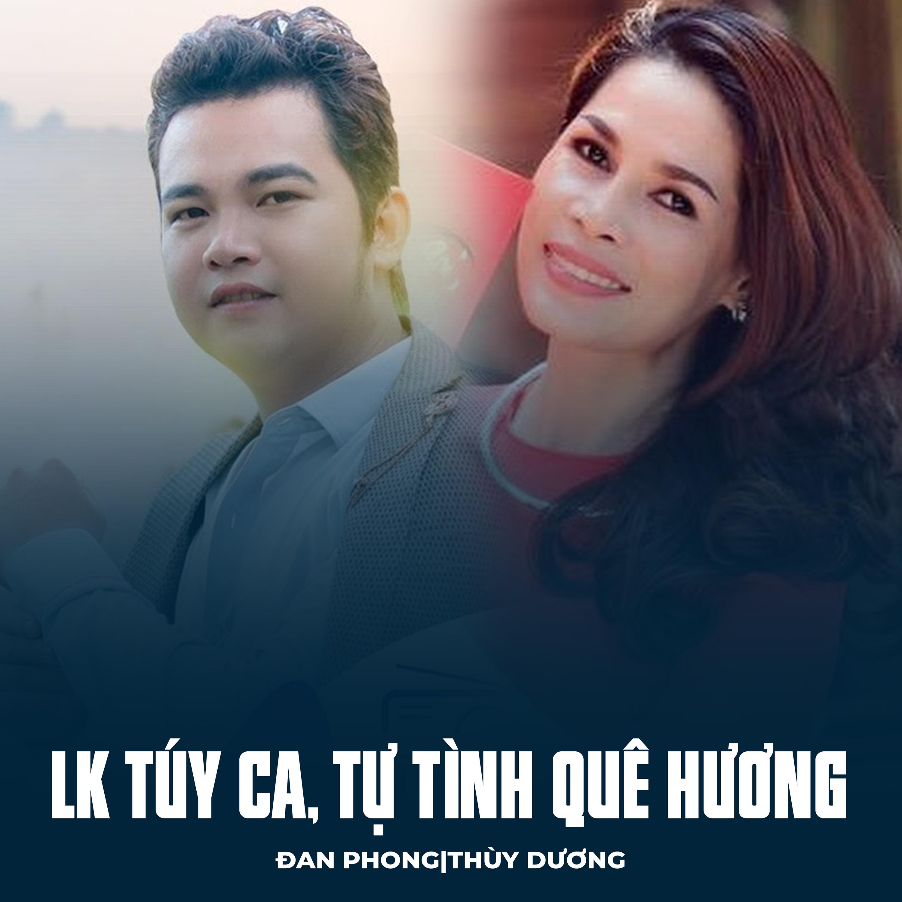 Постер альбома LK Túy Ca, Tự Tình Quê Hương