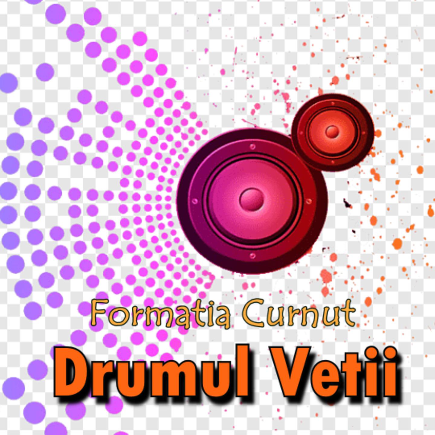 Постер альбома Drumul Vetii