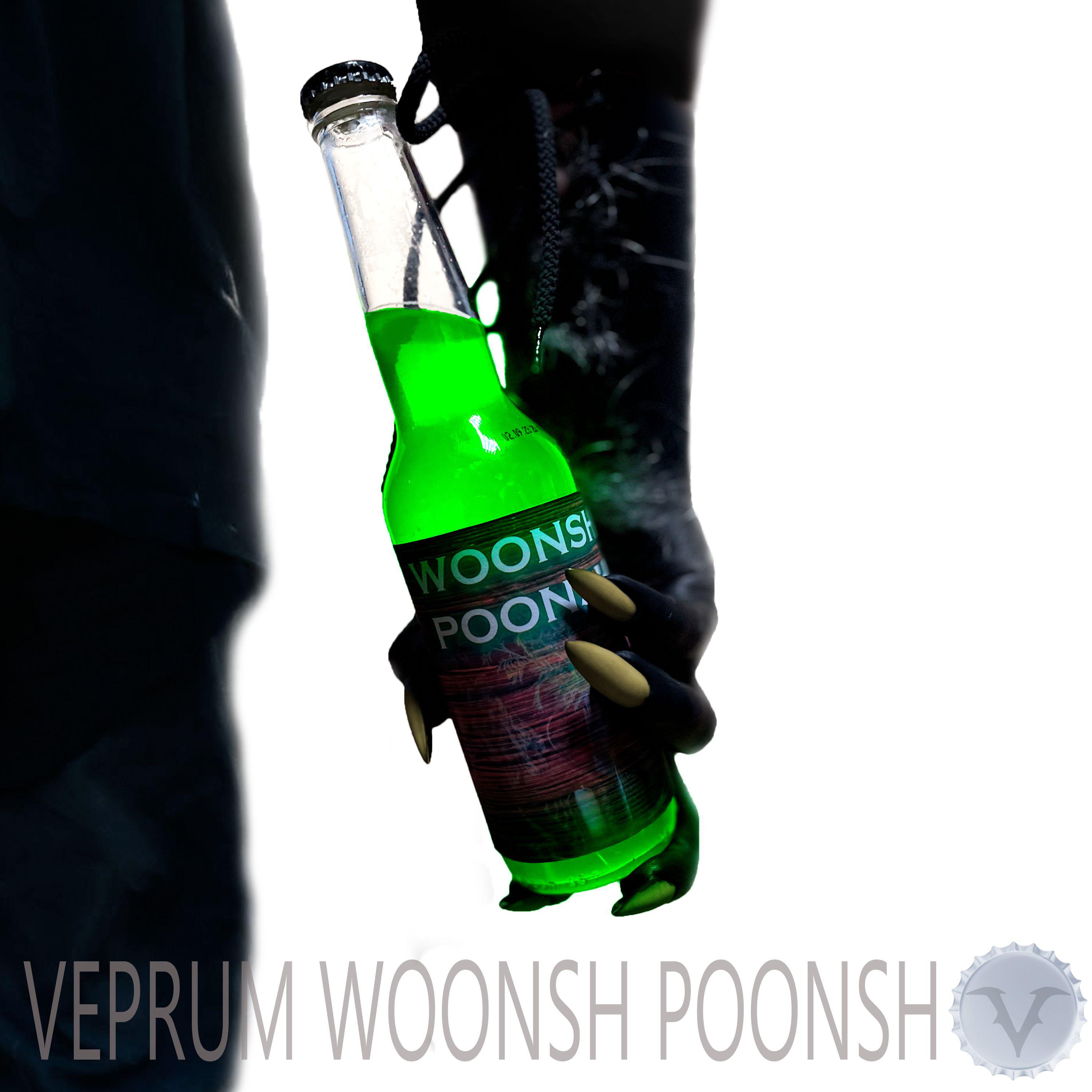 Постер альбома Woonsh Poonsh