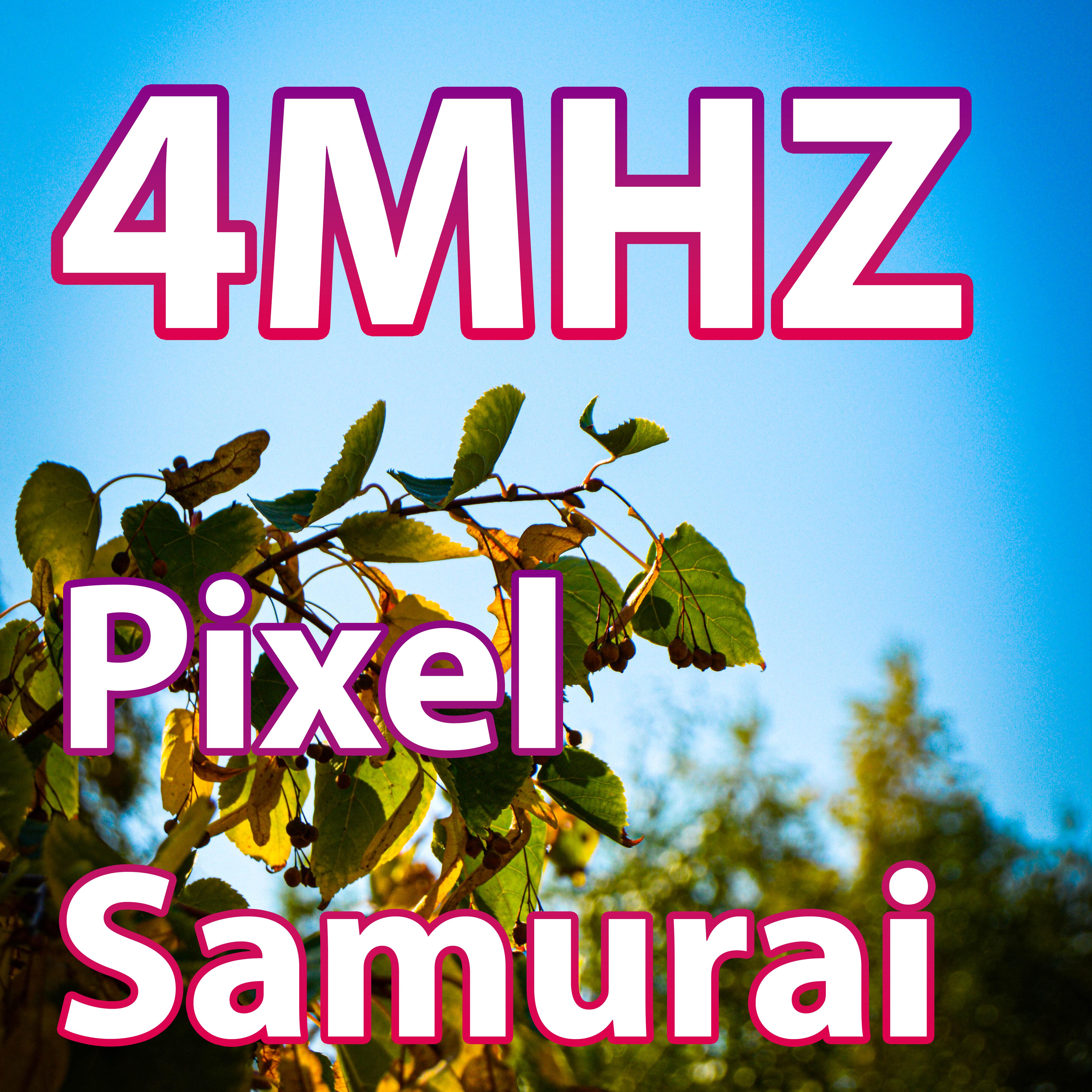 Постер альбома Pixel Samurai