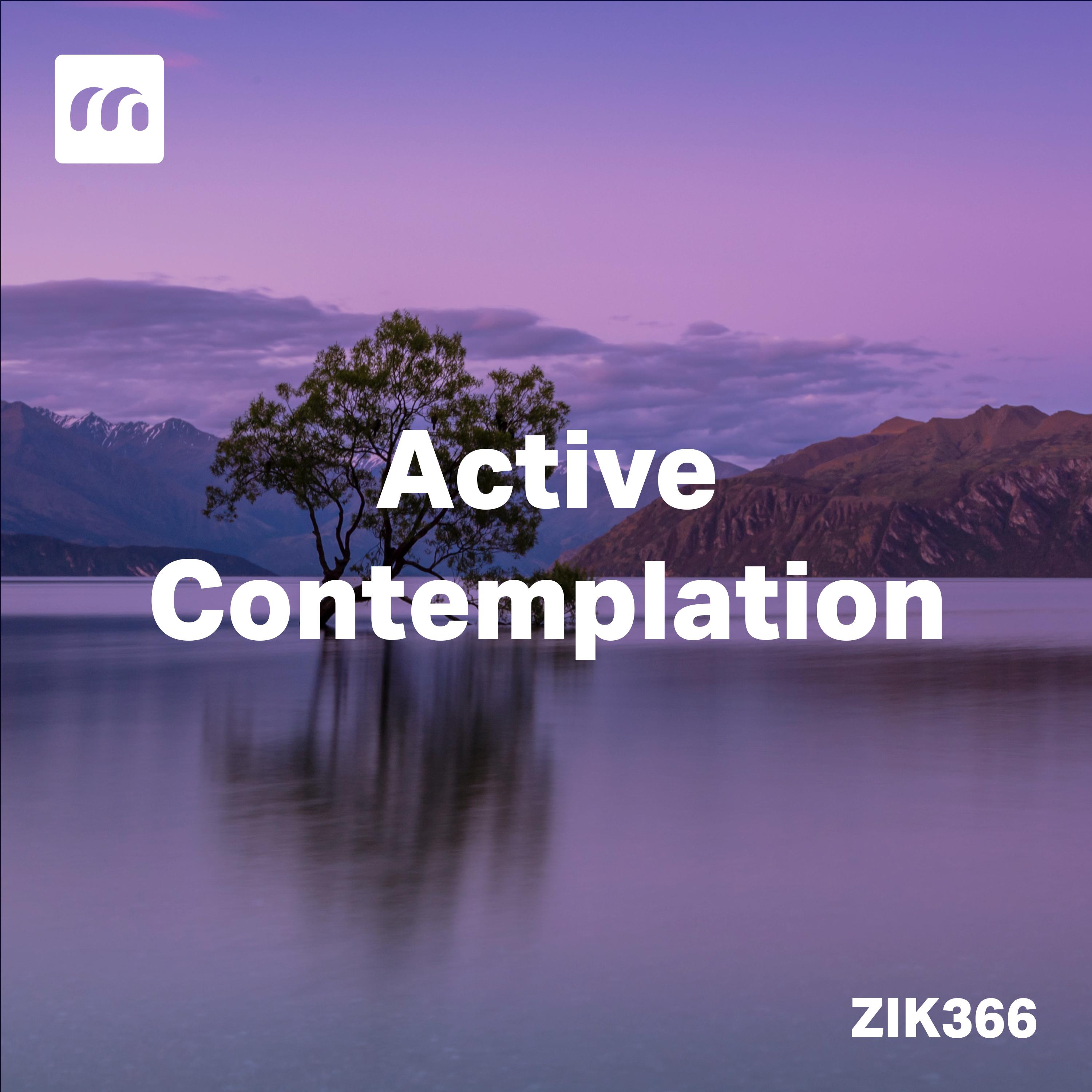 Постер альбома Active Contemplation