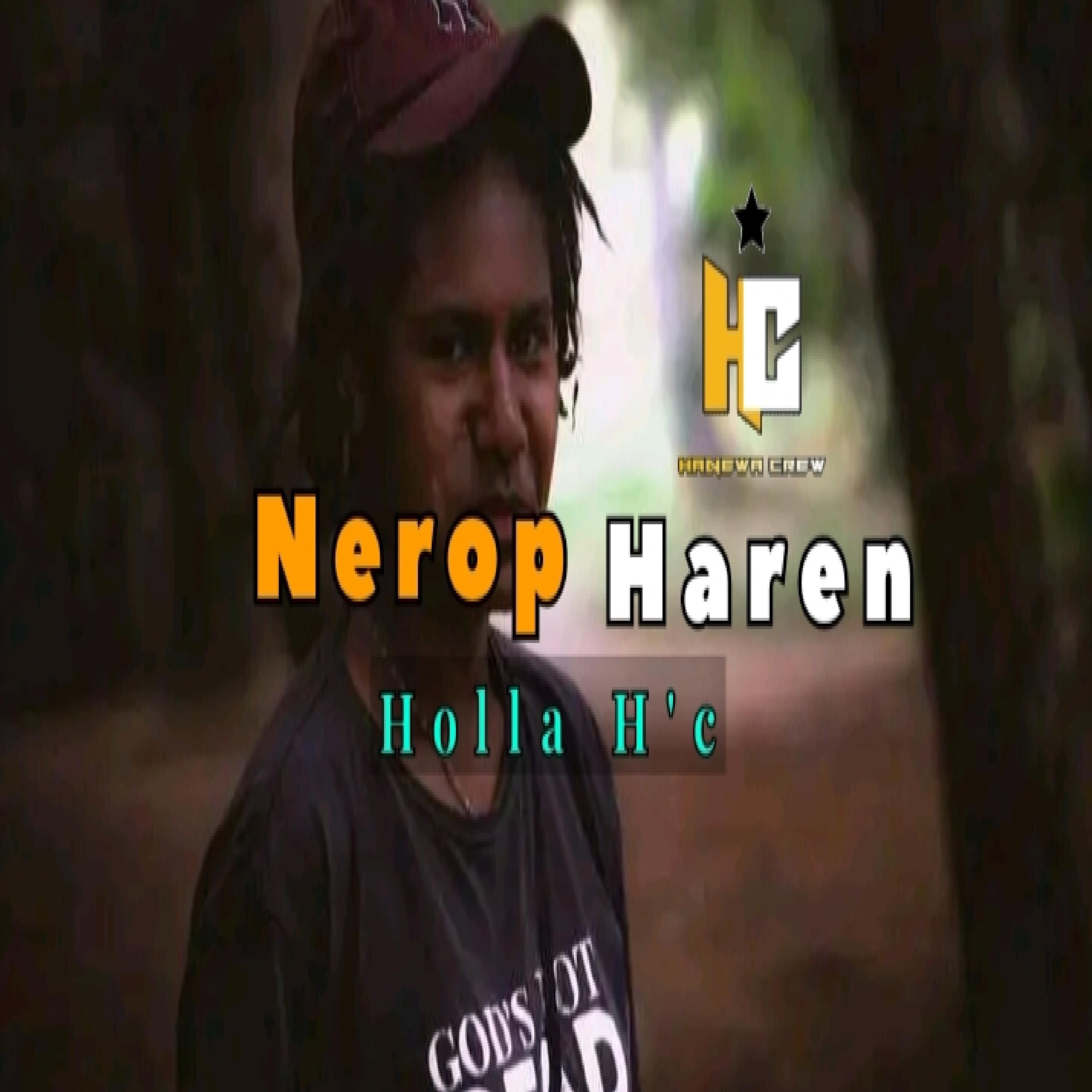 Постер альбома Nerop Haren