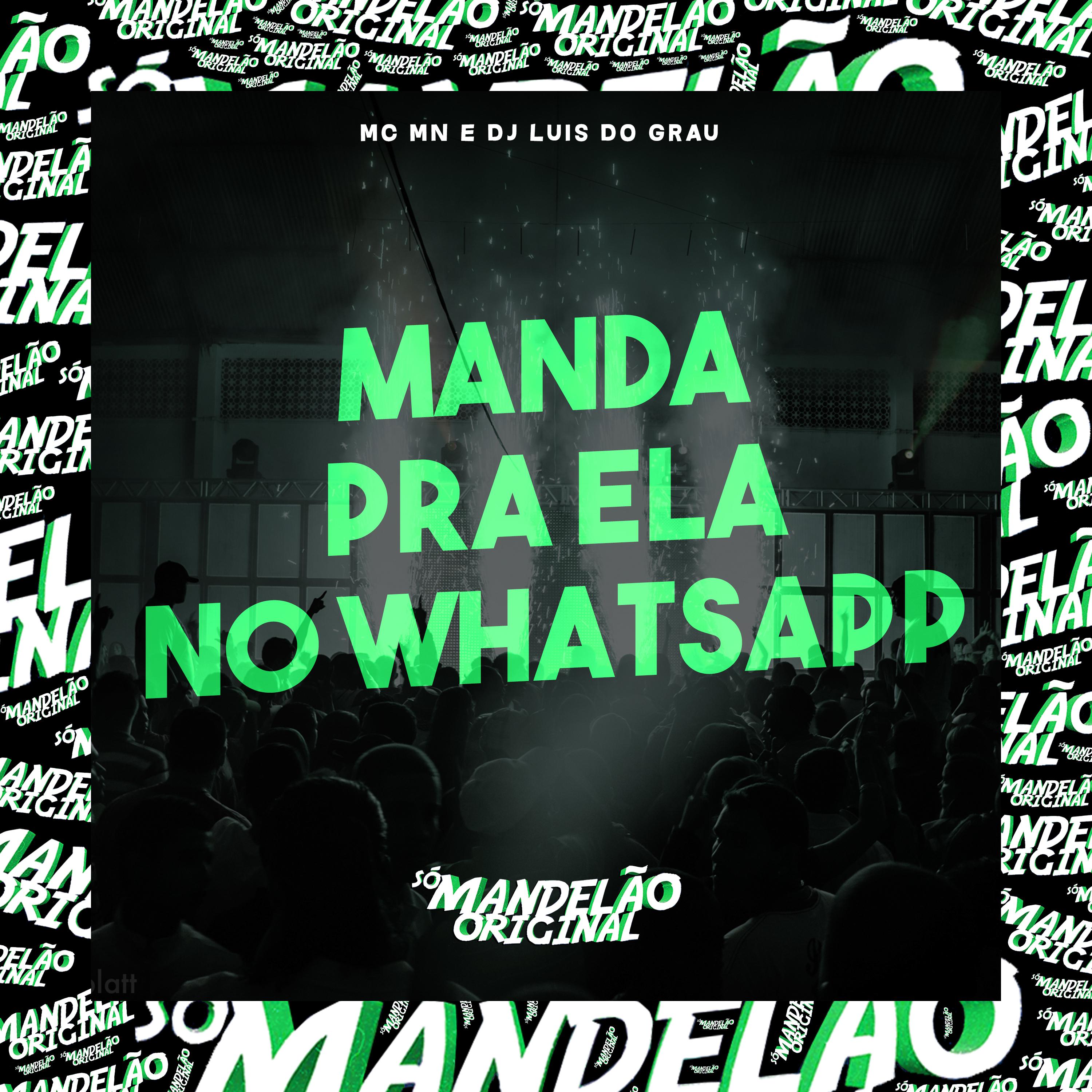 Постер альбома Manda pra Ela no Whatsapp