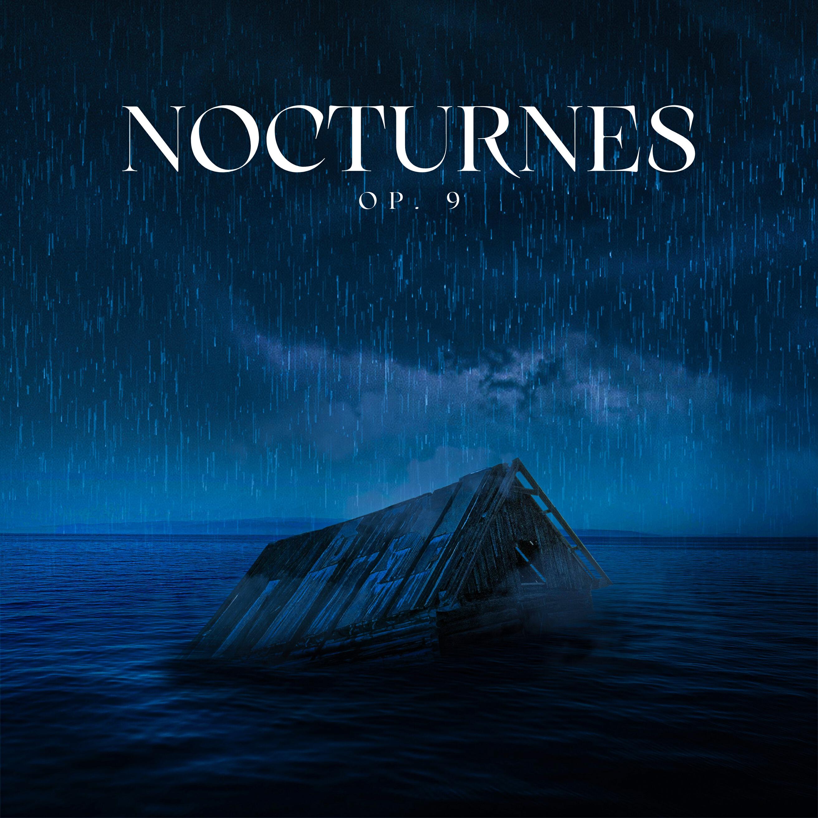 Постер альбома Nocturnes