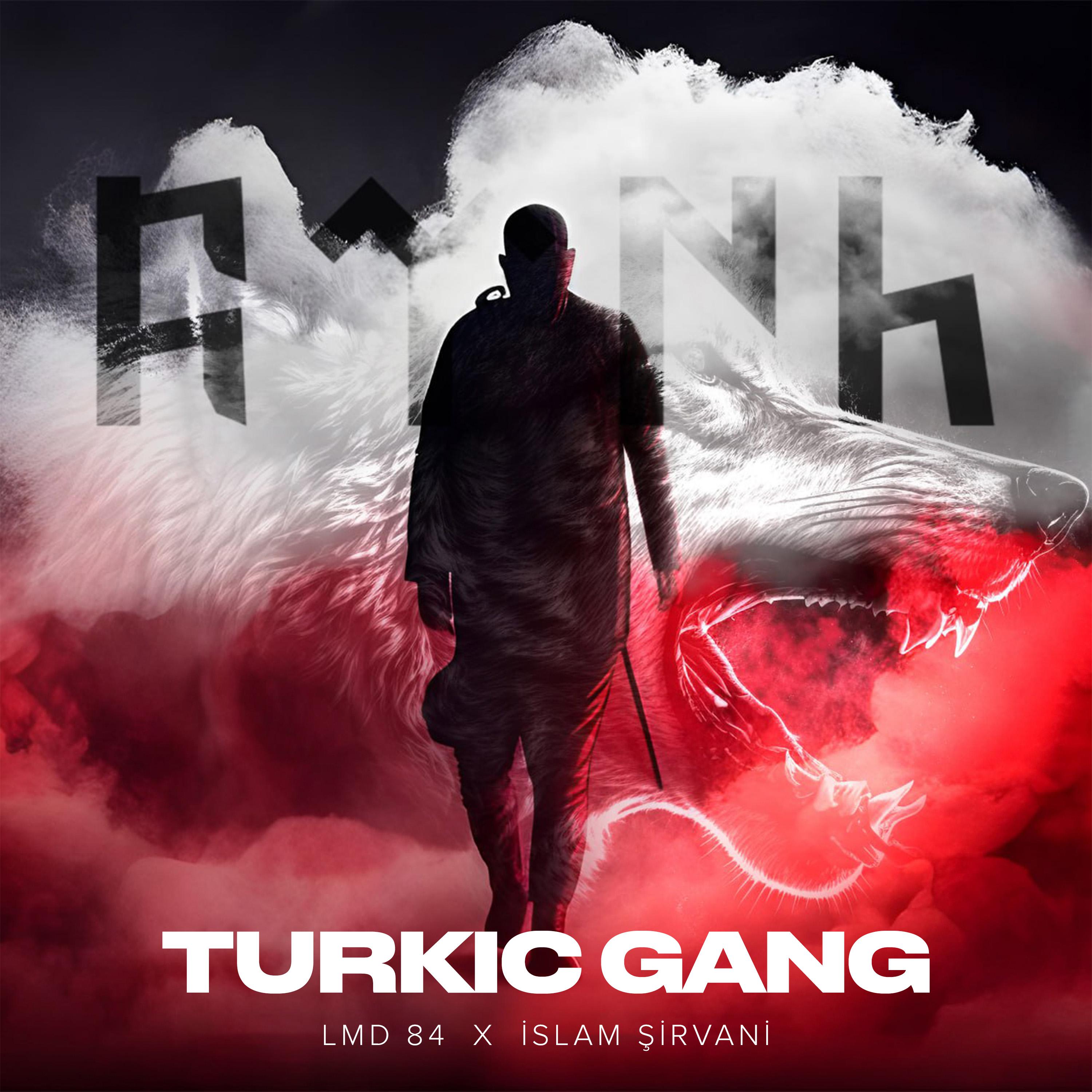 Постер альбома Turkic Gang