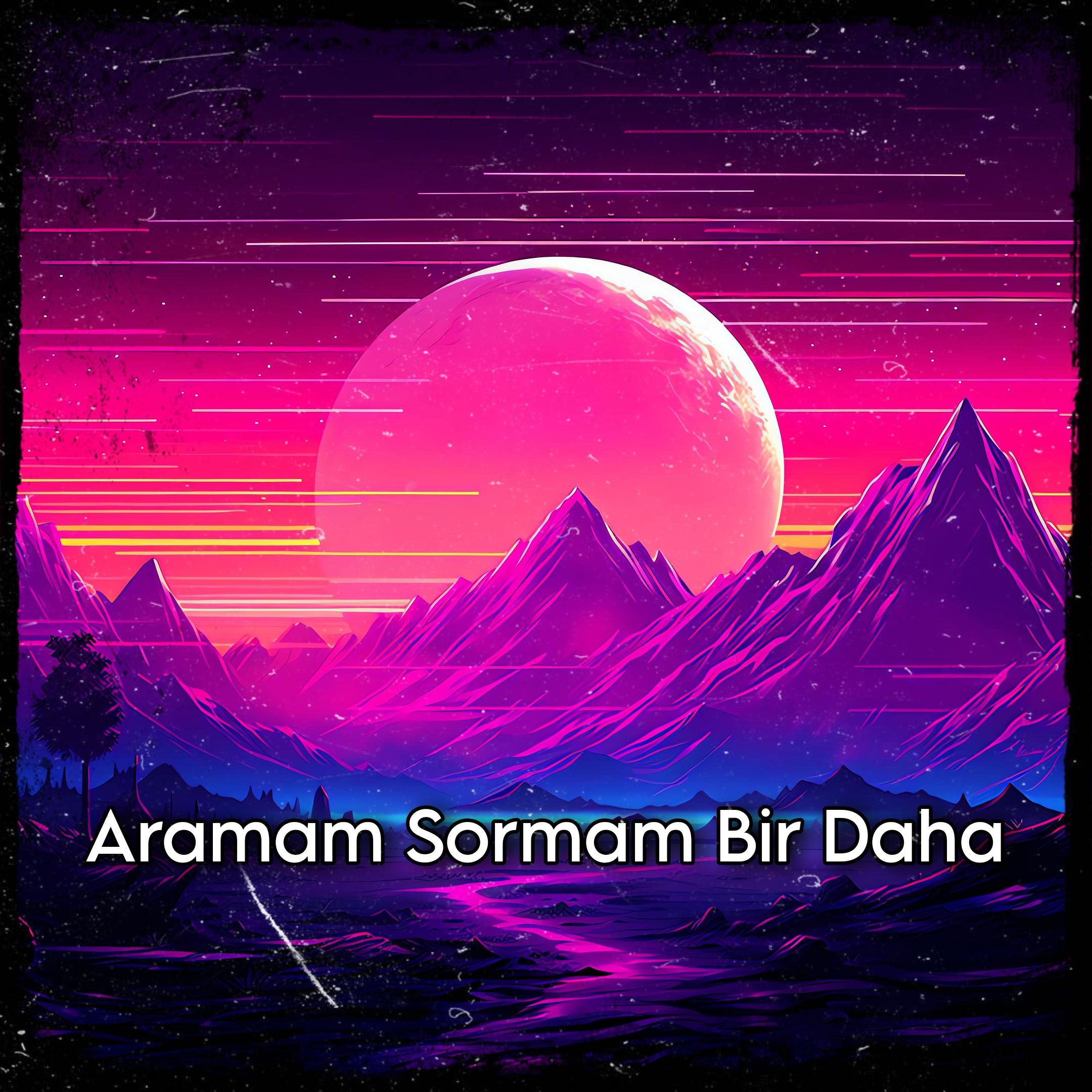 Постер альбома Aramam Sormam Bir Daha