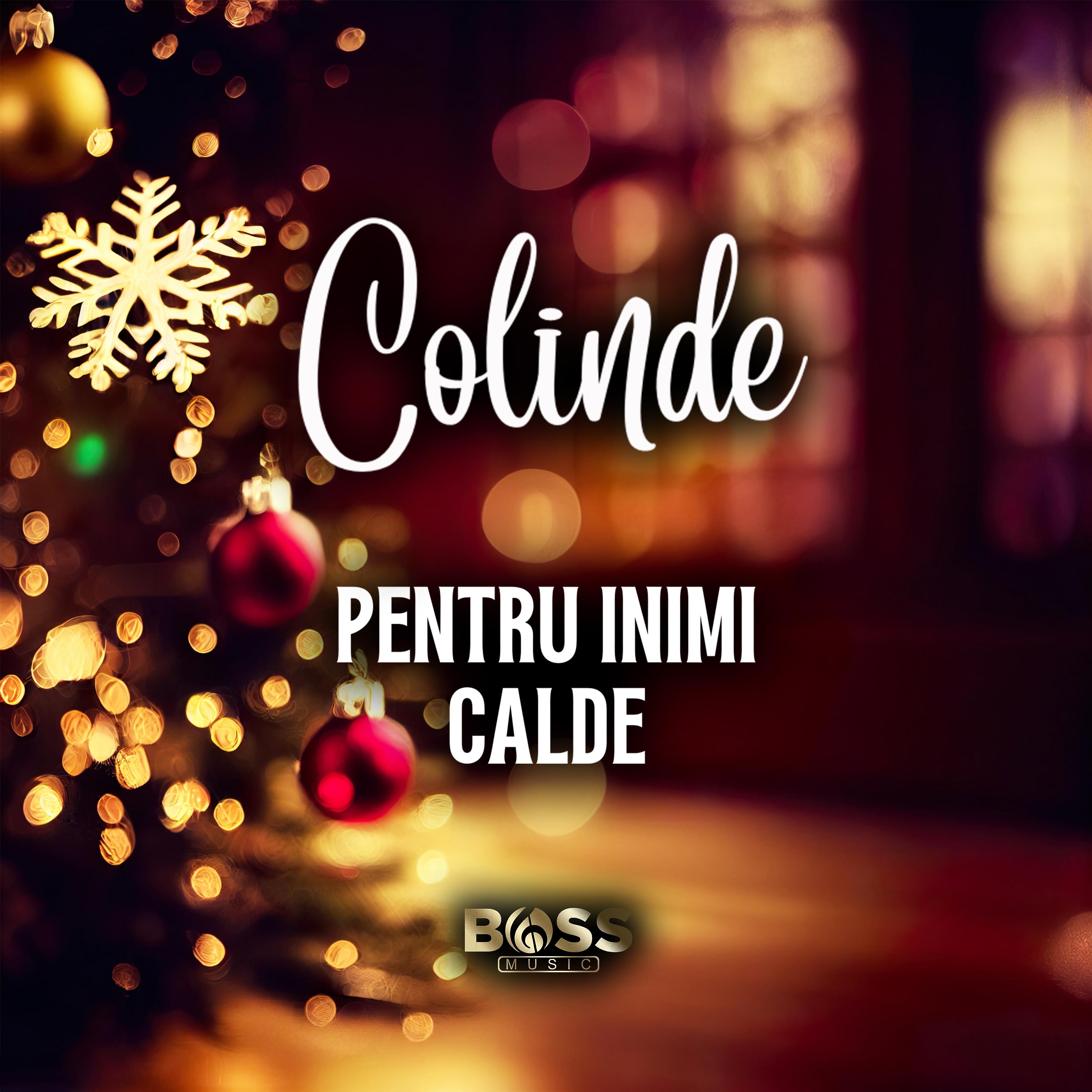 Постер альбома Colinde Pentru Inimi Calde