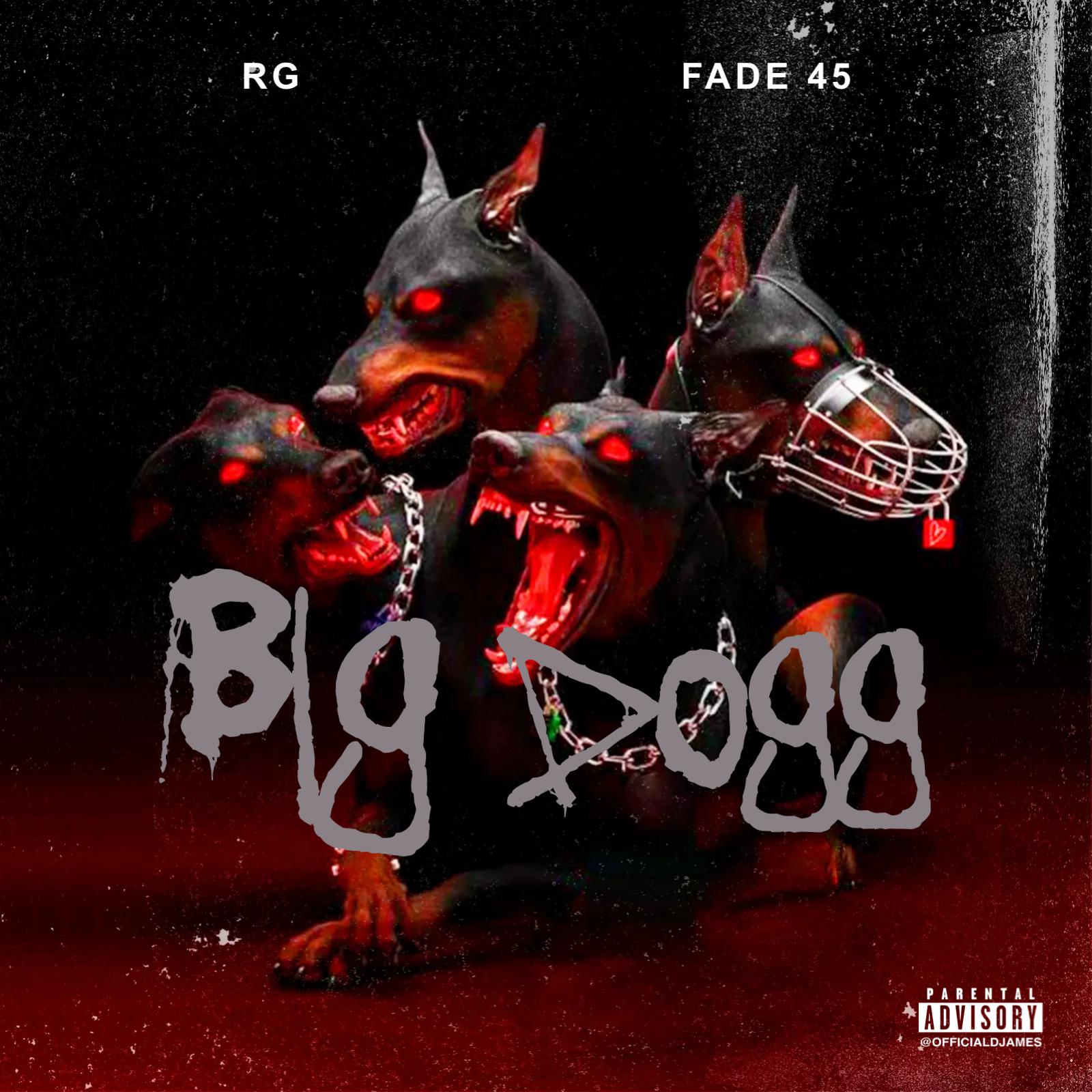 Постер альбома Big Dogg