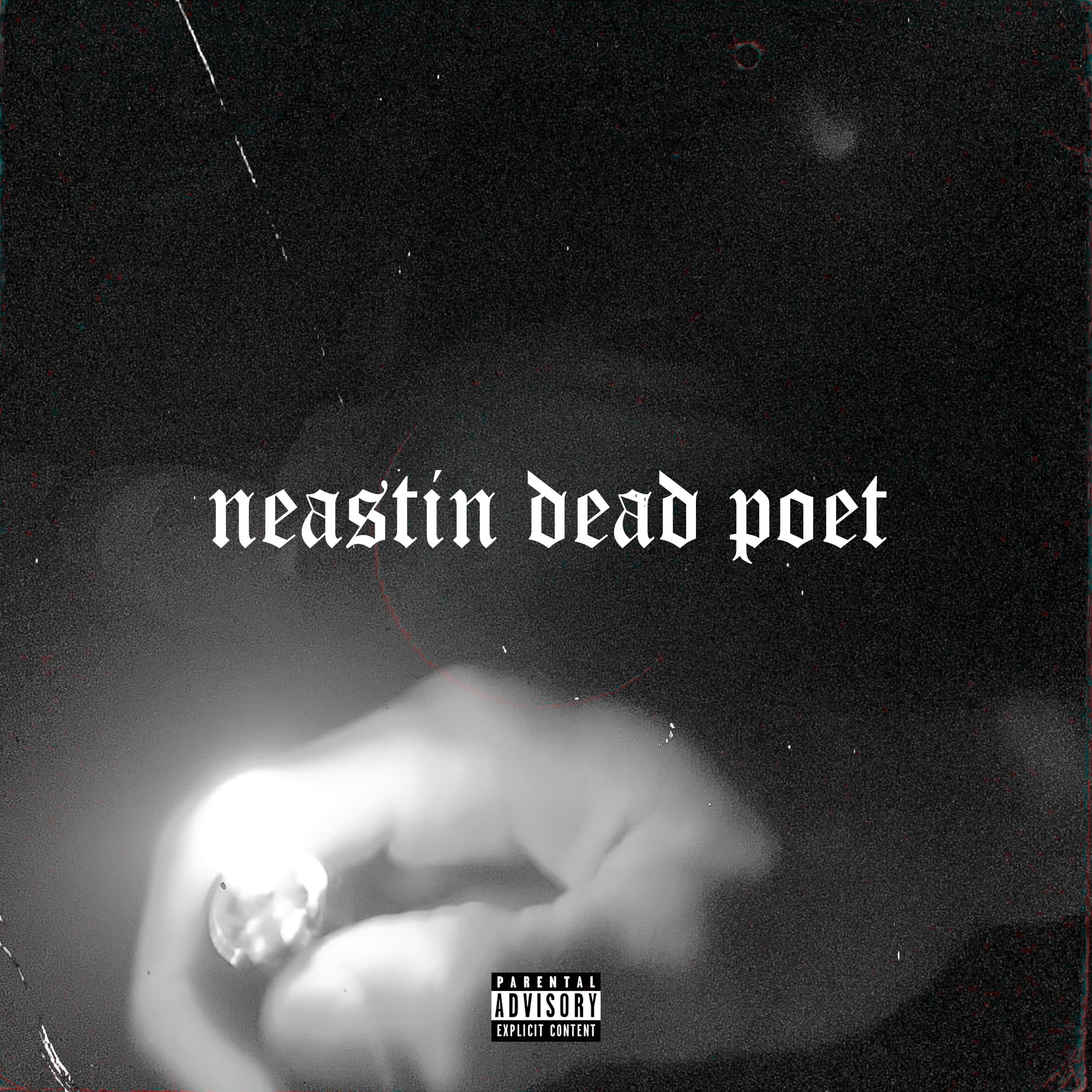 Постер альбома Neastin Dead Poet