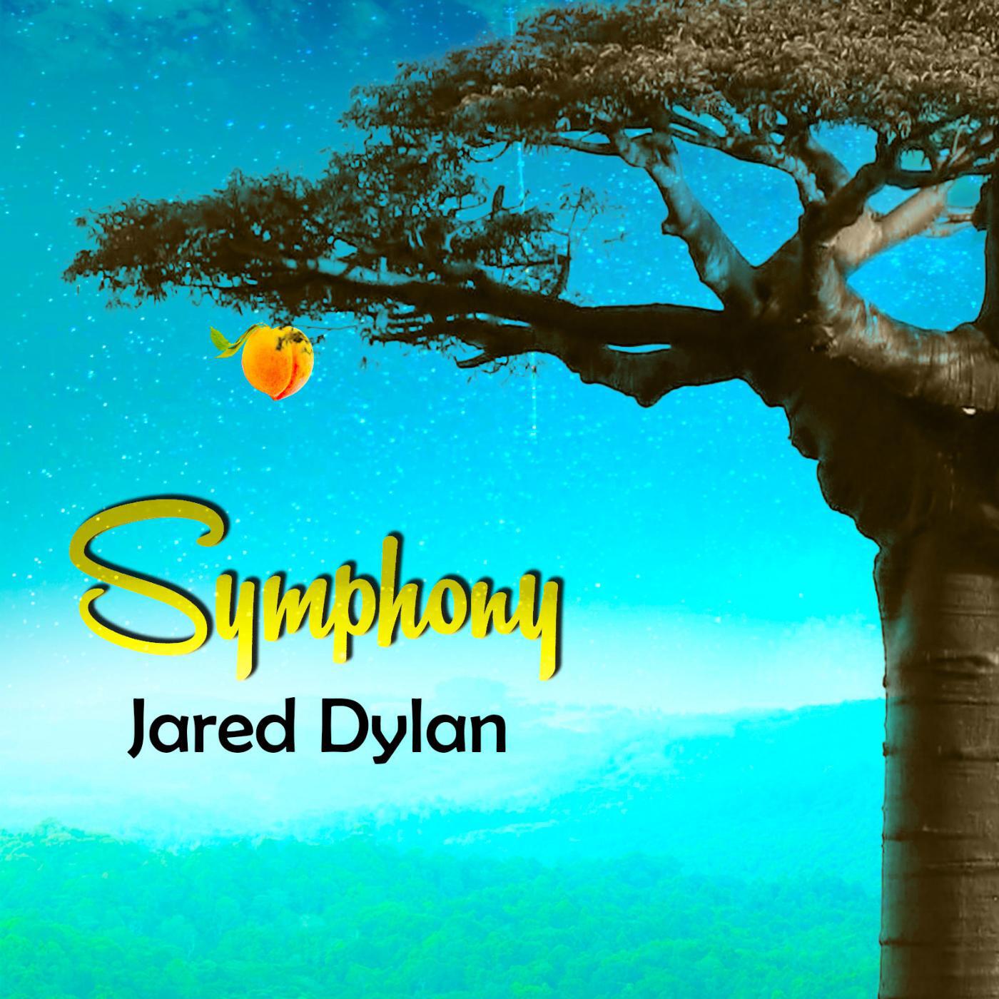 Jared Dylan - Symphony