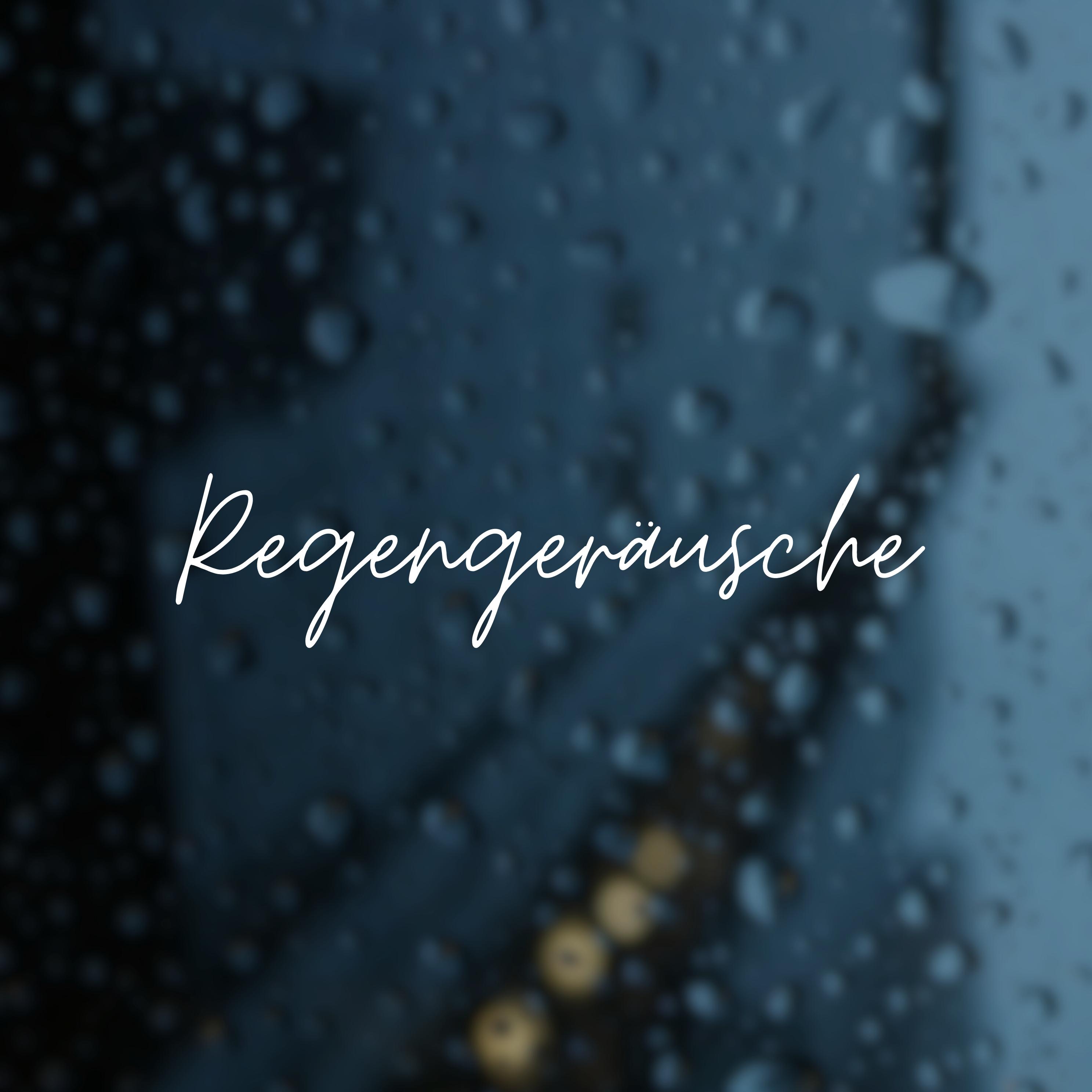 Постер альбома Regengeräusche