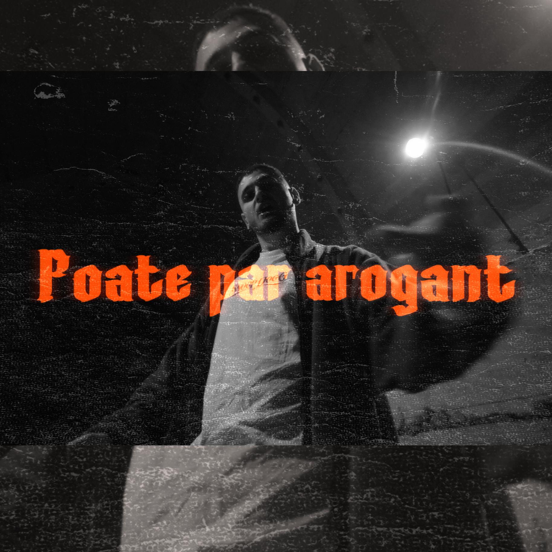 Постер альбома Poate par arogant