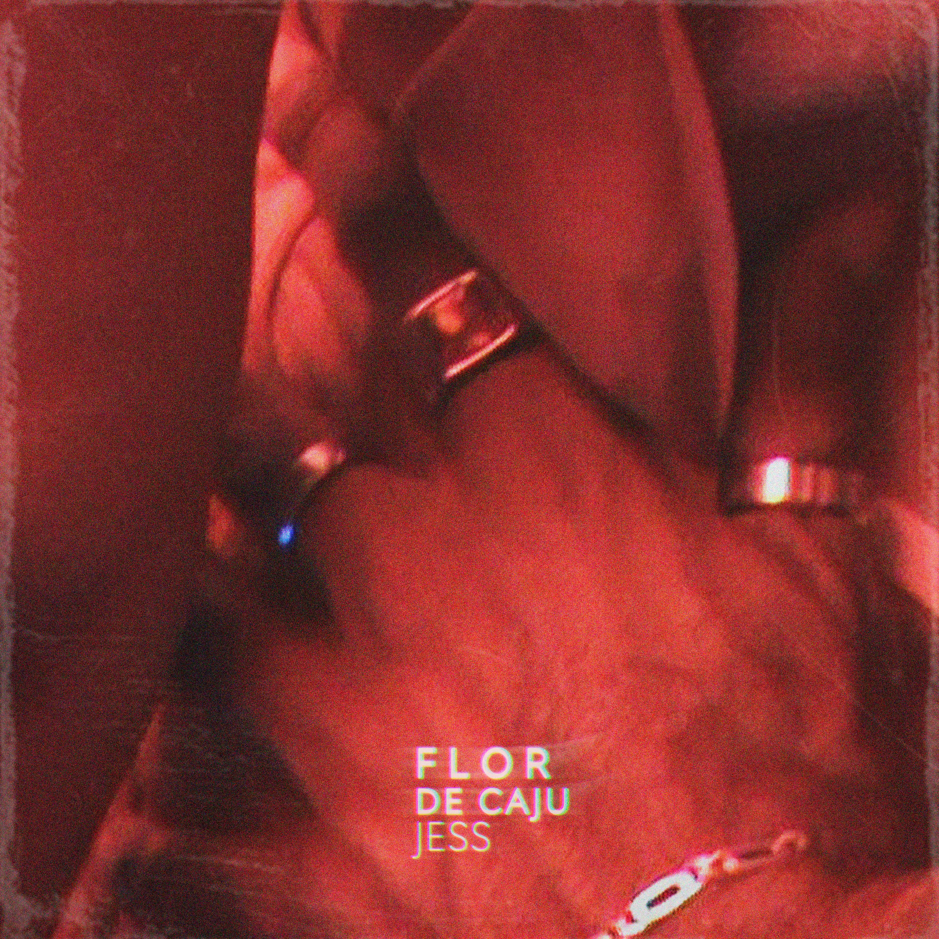 Постер альбома Flor de Caju