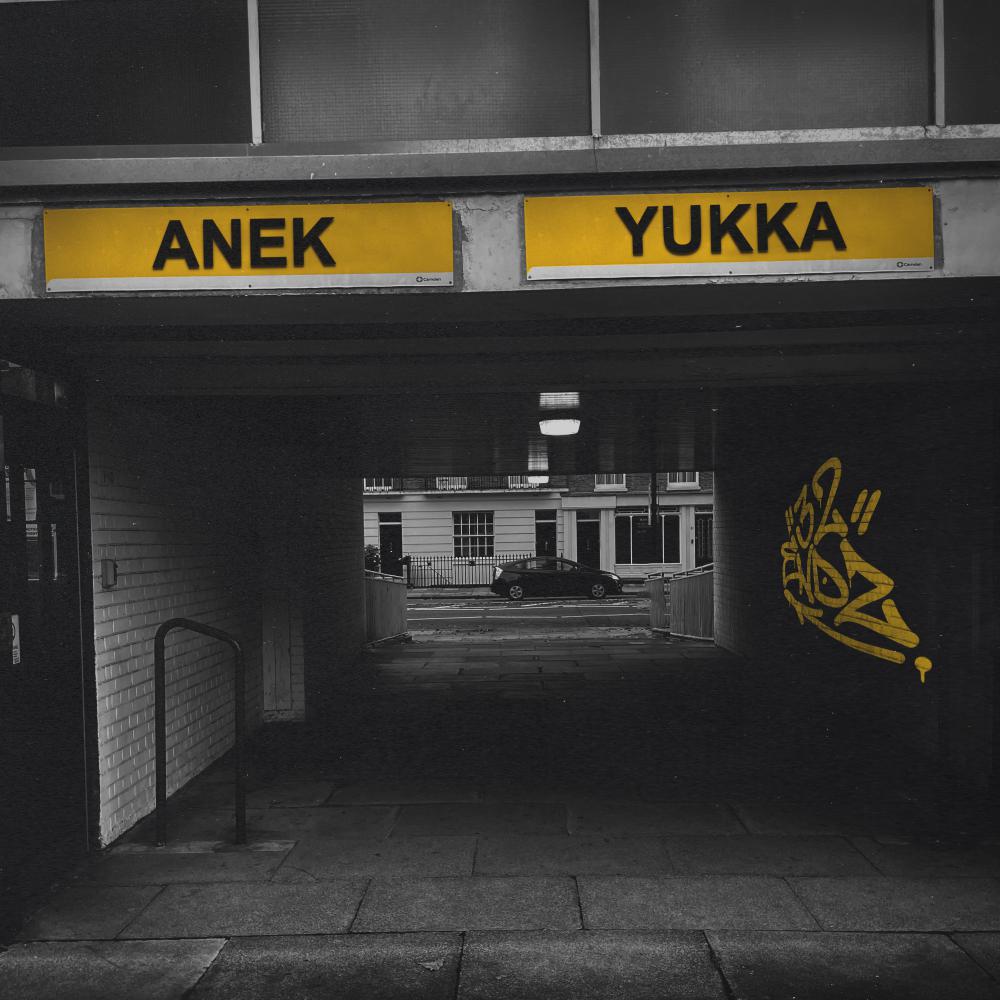 Постер альбома Yukka EP