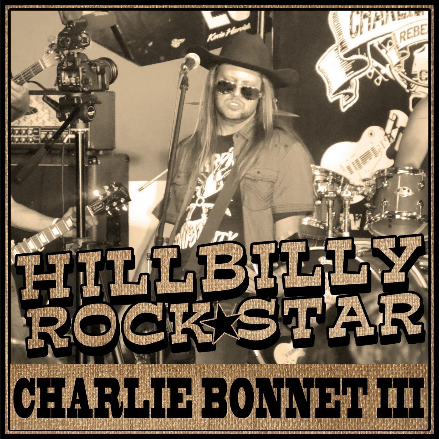 Постер альбома Hillbilly Rock Star