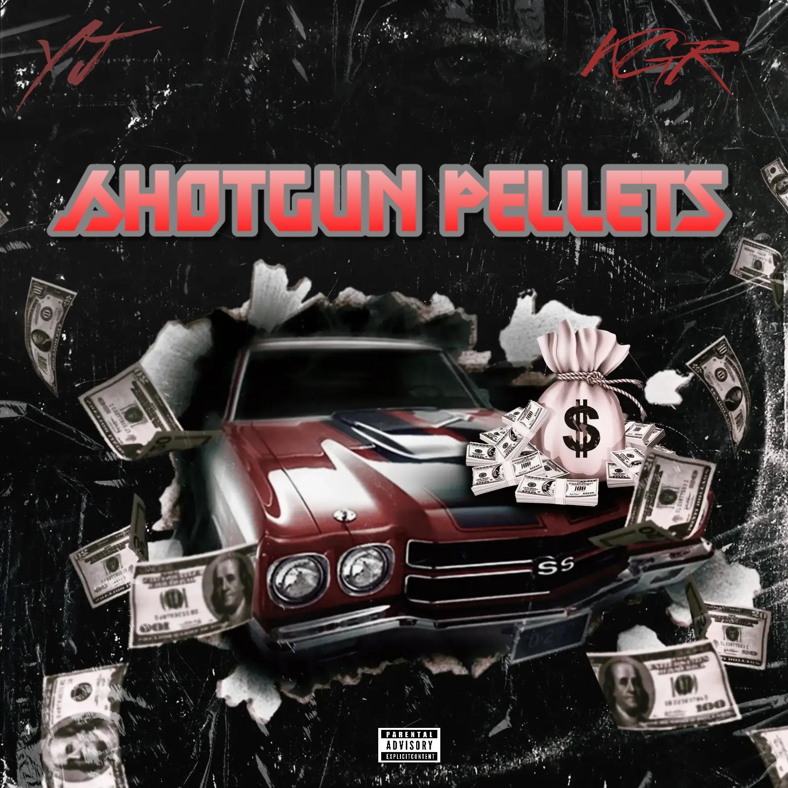 Постер альбома Shotgun Pellets (feat. Kool G Rap)