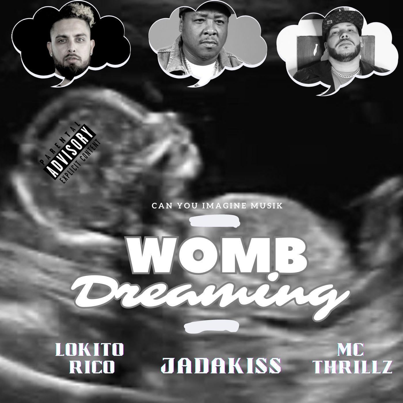 Постер альбома Womb Dreaming (feat. Jadakiss & MC Thrillz)