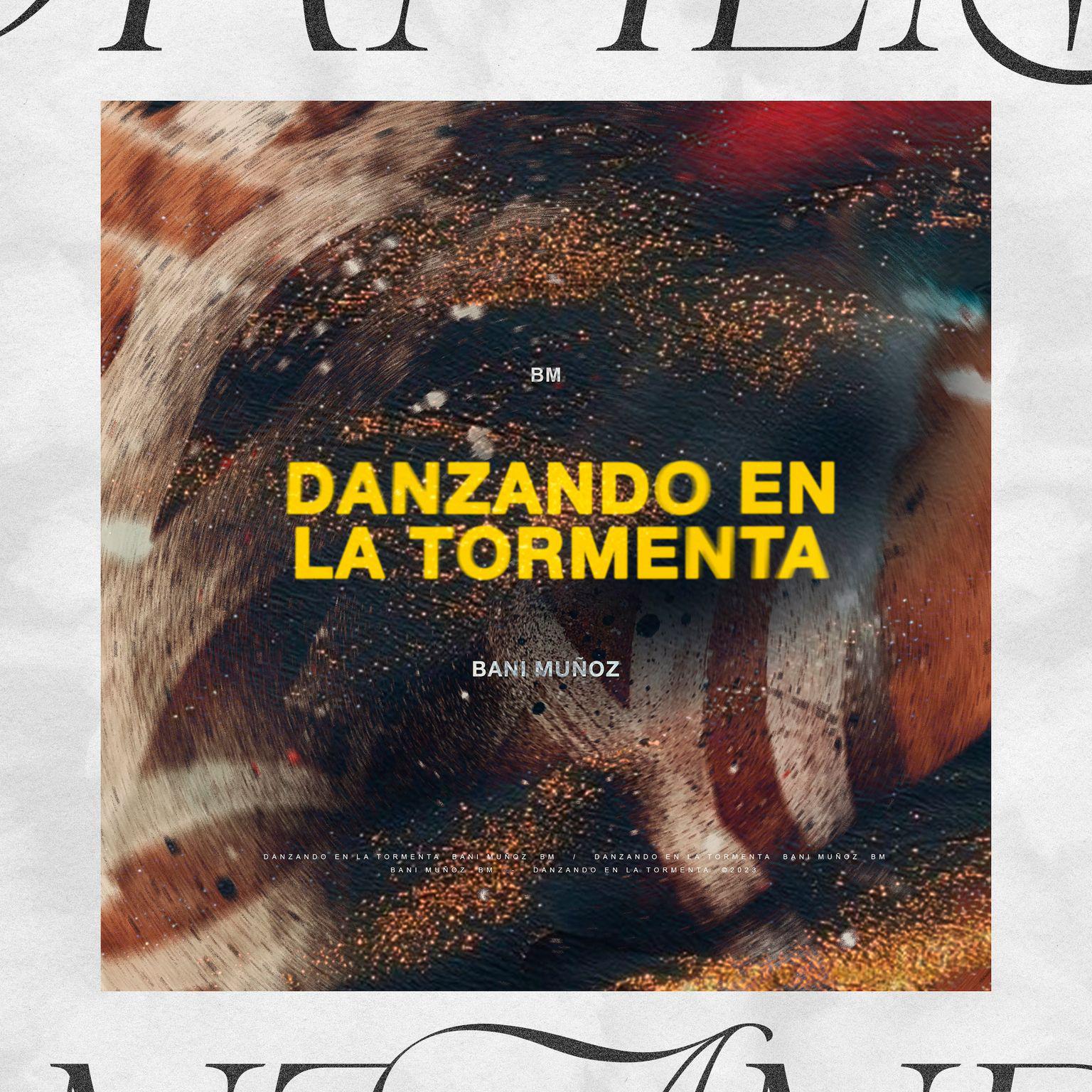 Постер альбома Danzando En La Tormenta