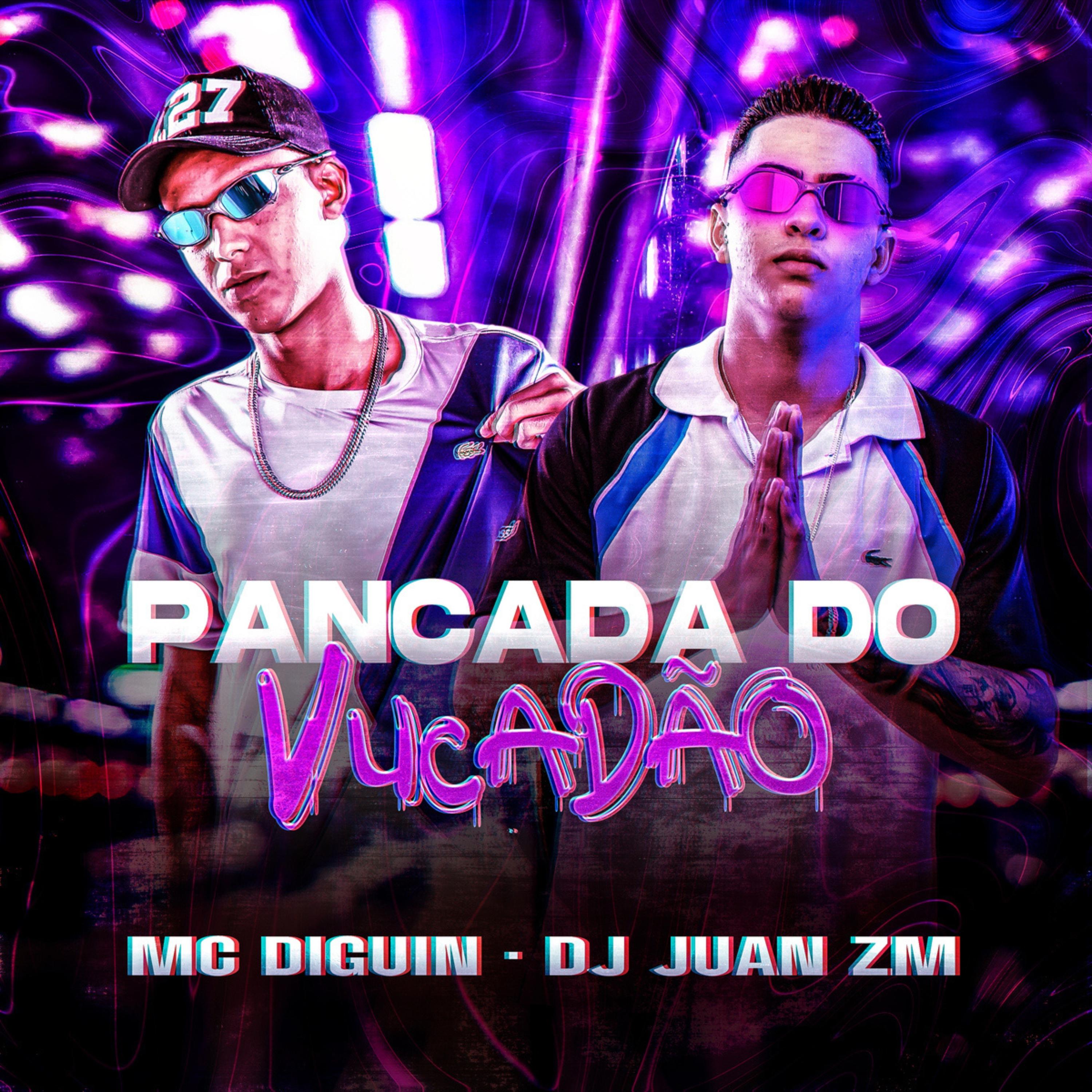 Постер альбома Pancada do Vucadão