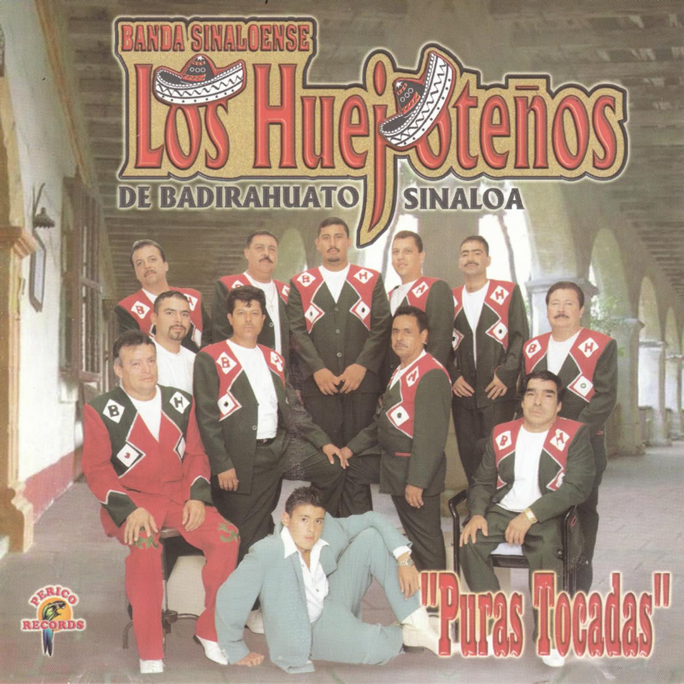Постер альбома "Puras Tocadas"