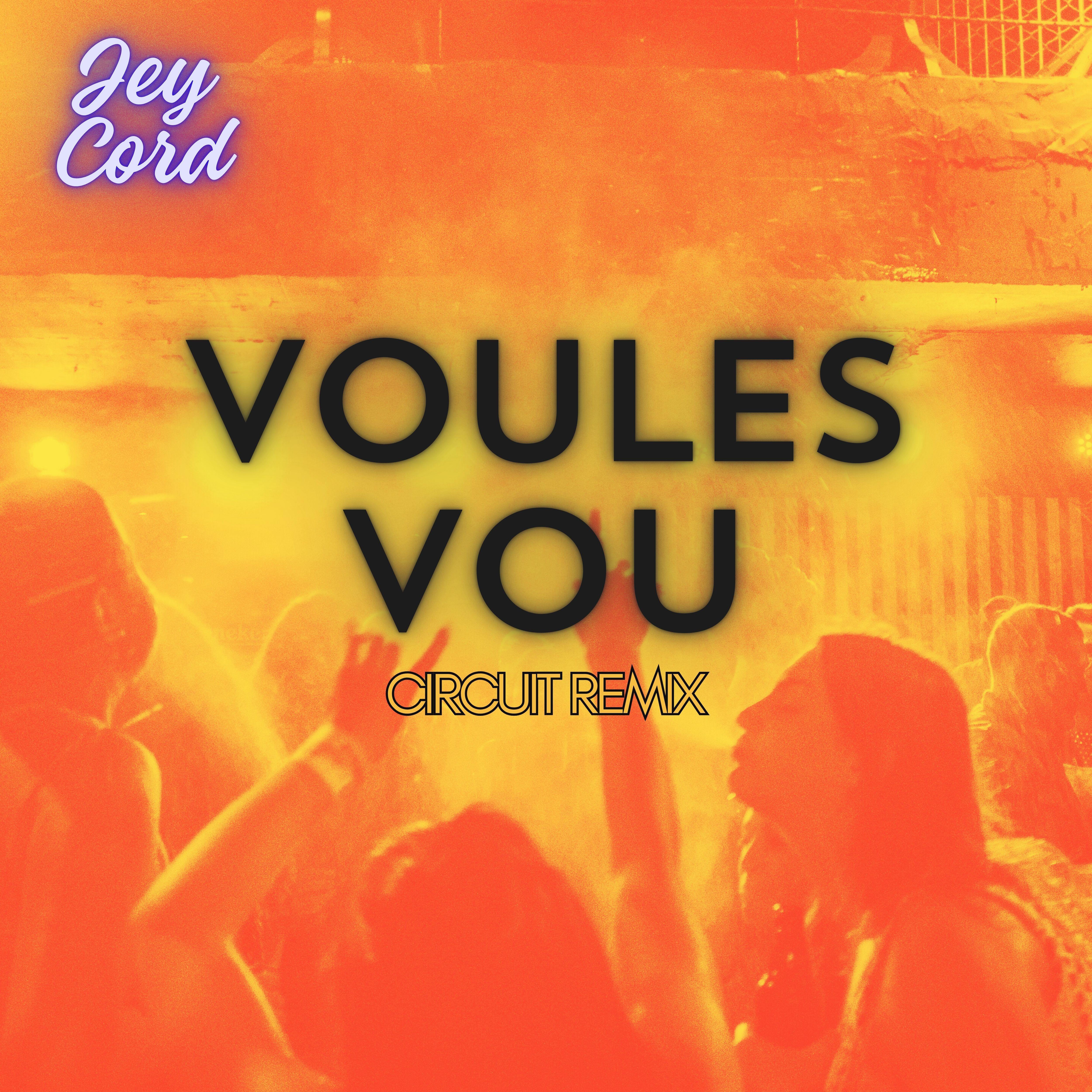 Постер альбома Voules Vou (Circuit Remix)